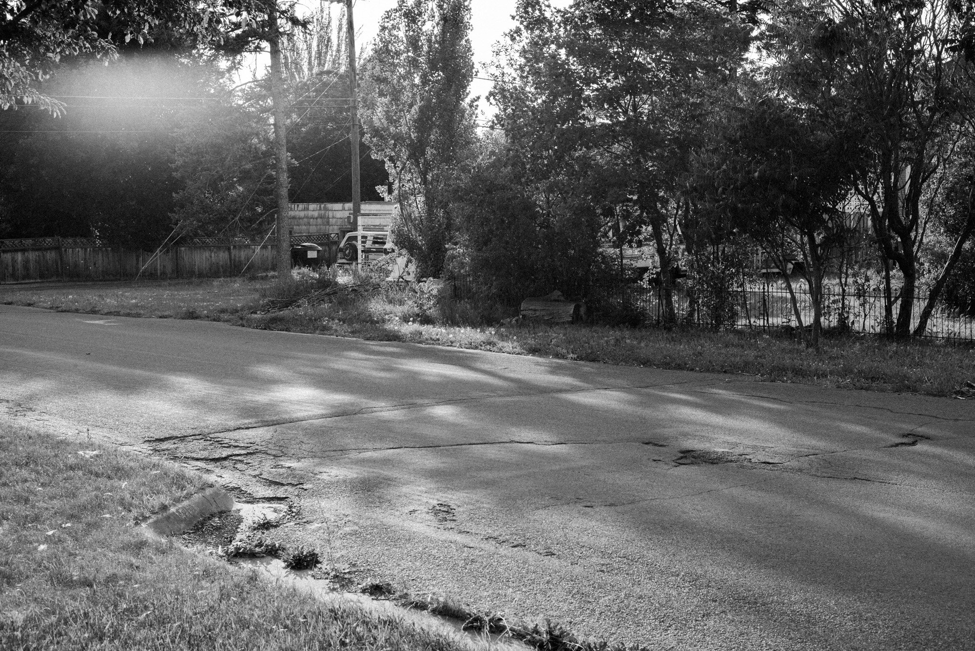L1001455.jpg