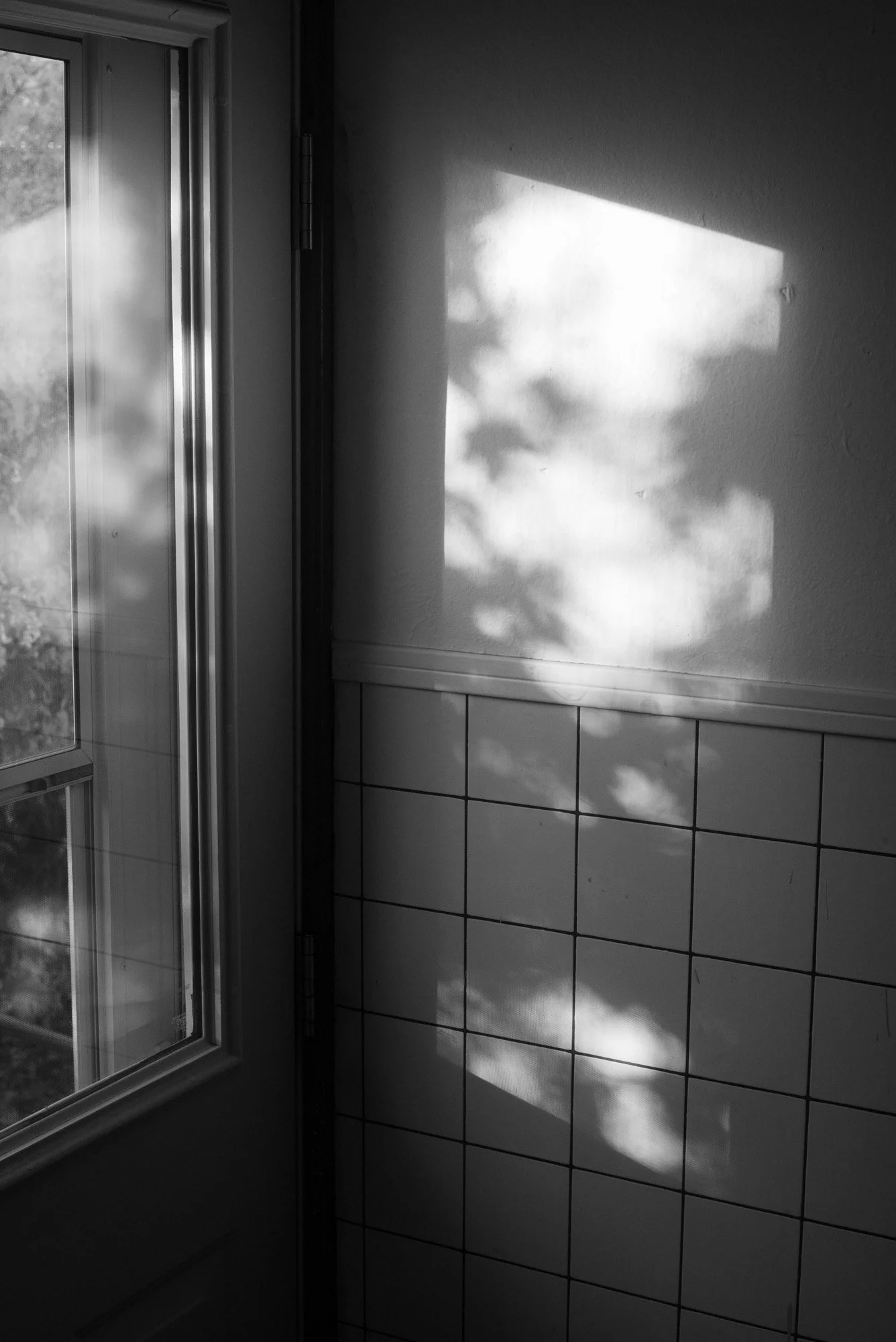L1002835.jpg