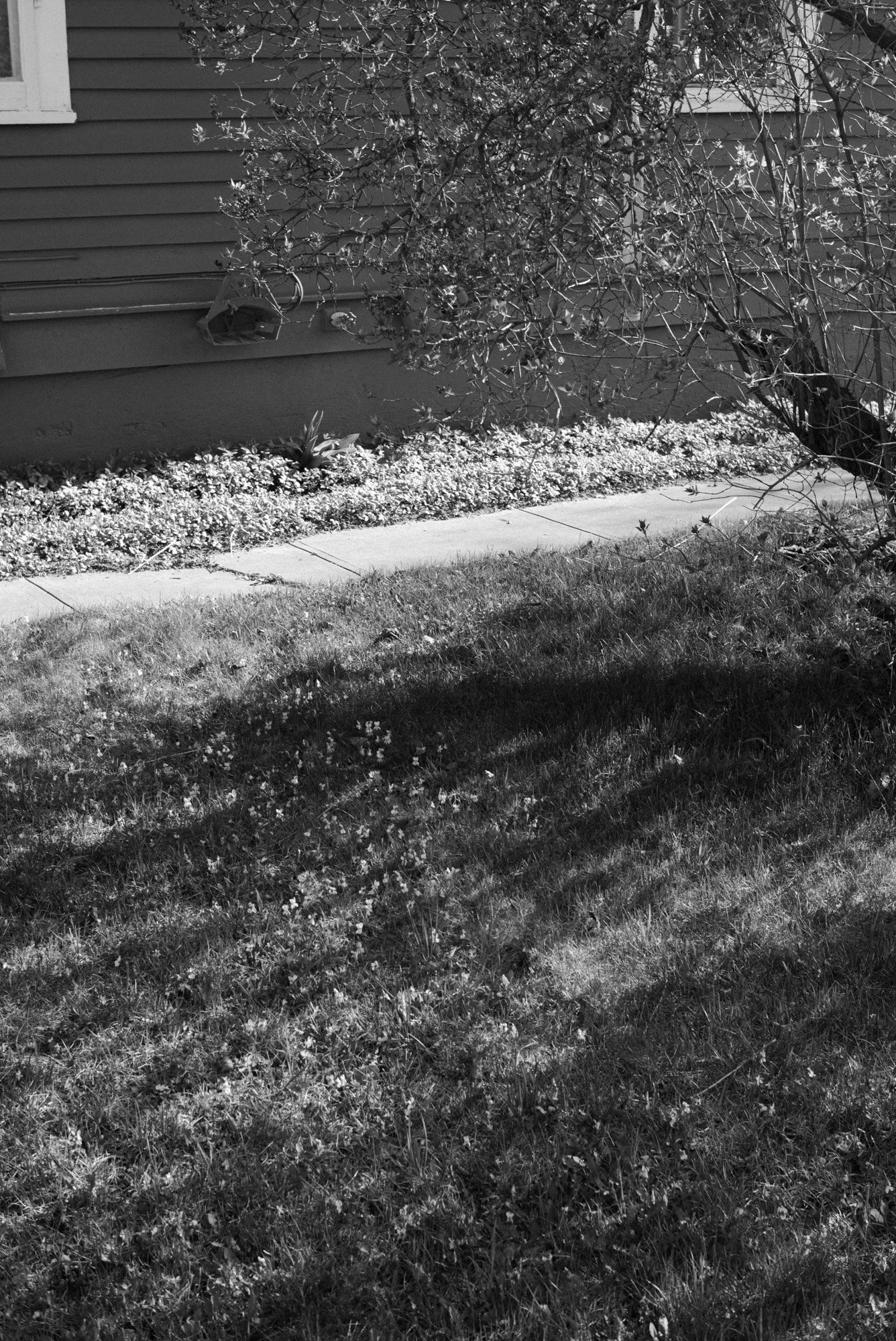 L1005327.jpg