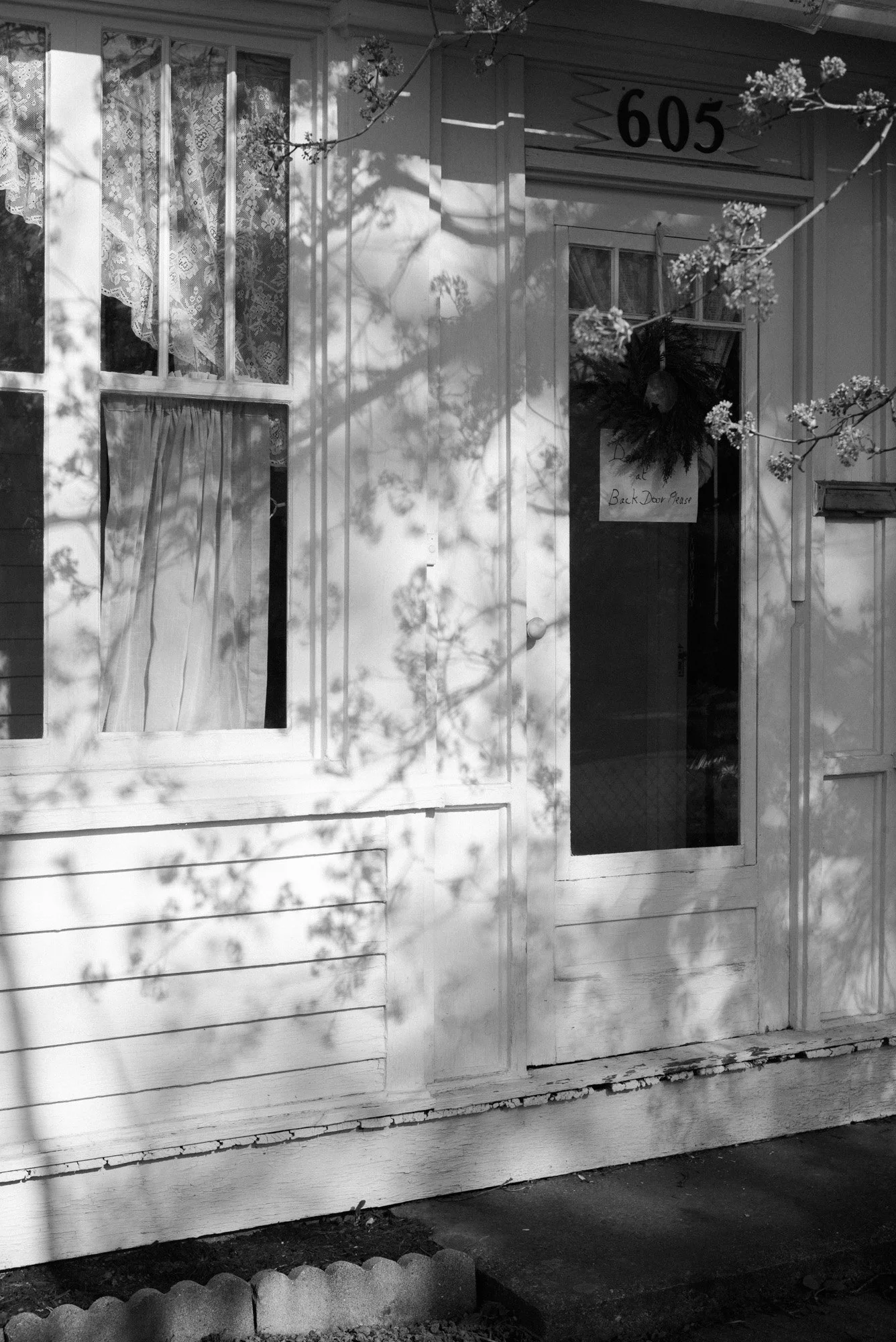 L1005344.jpg