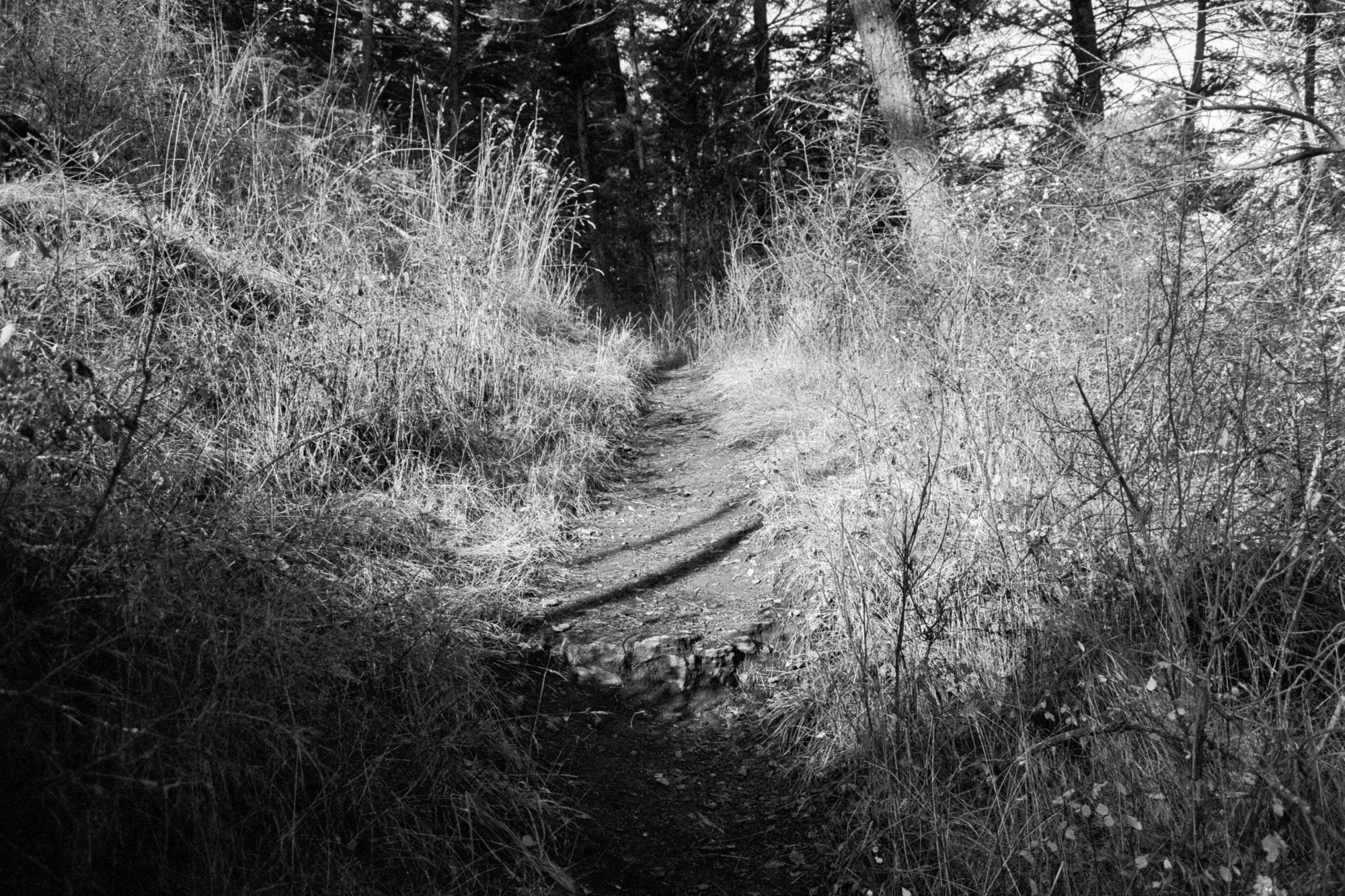 Image (4).jpg