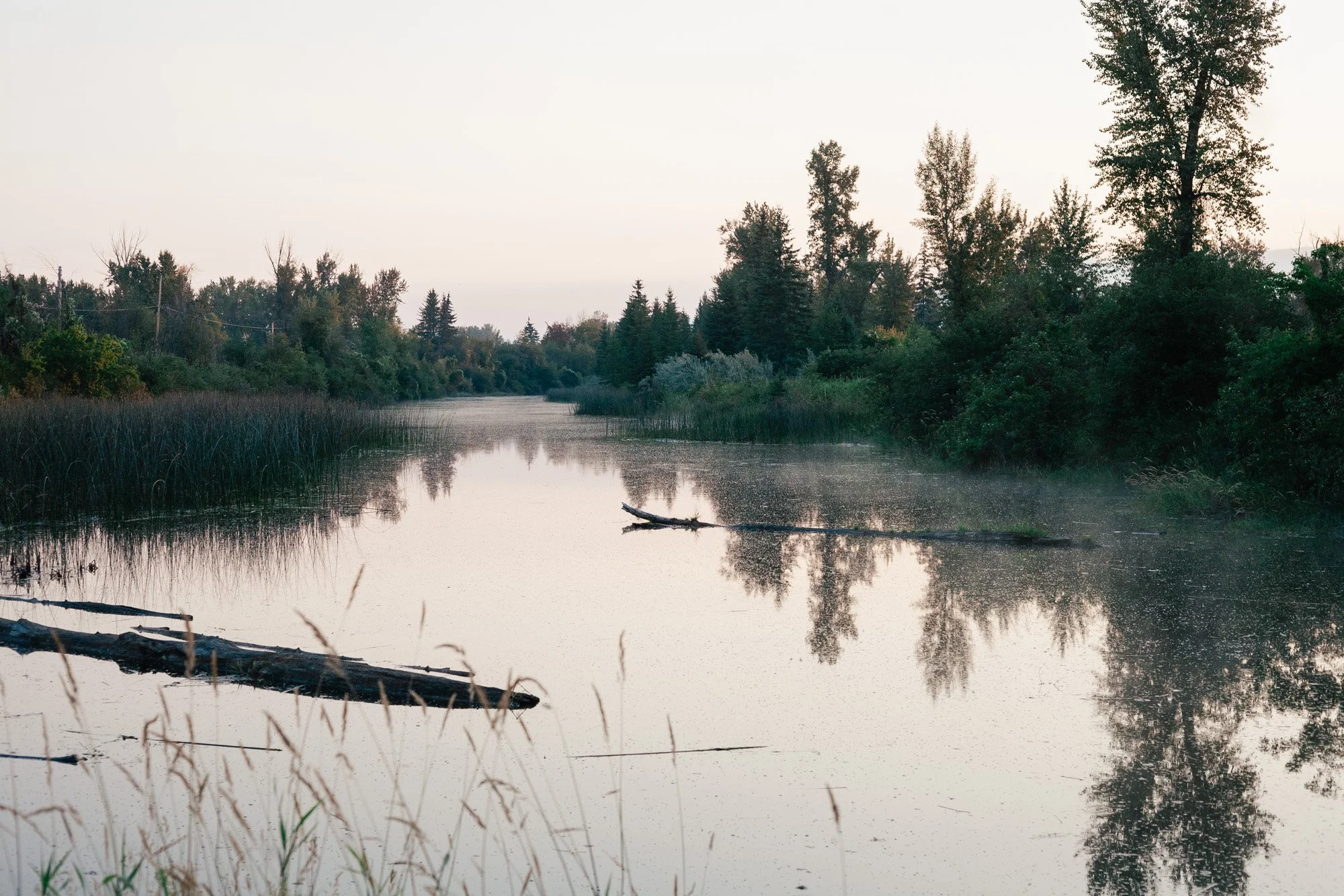 _MG_9358.jpg