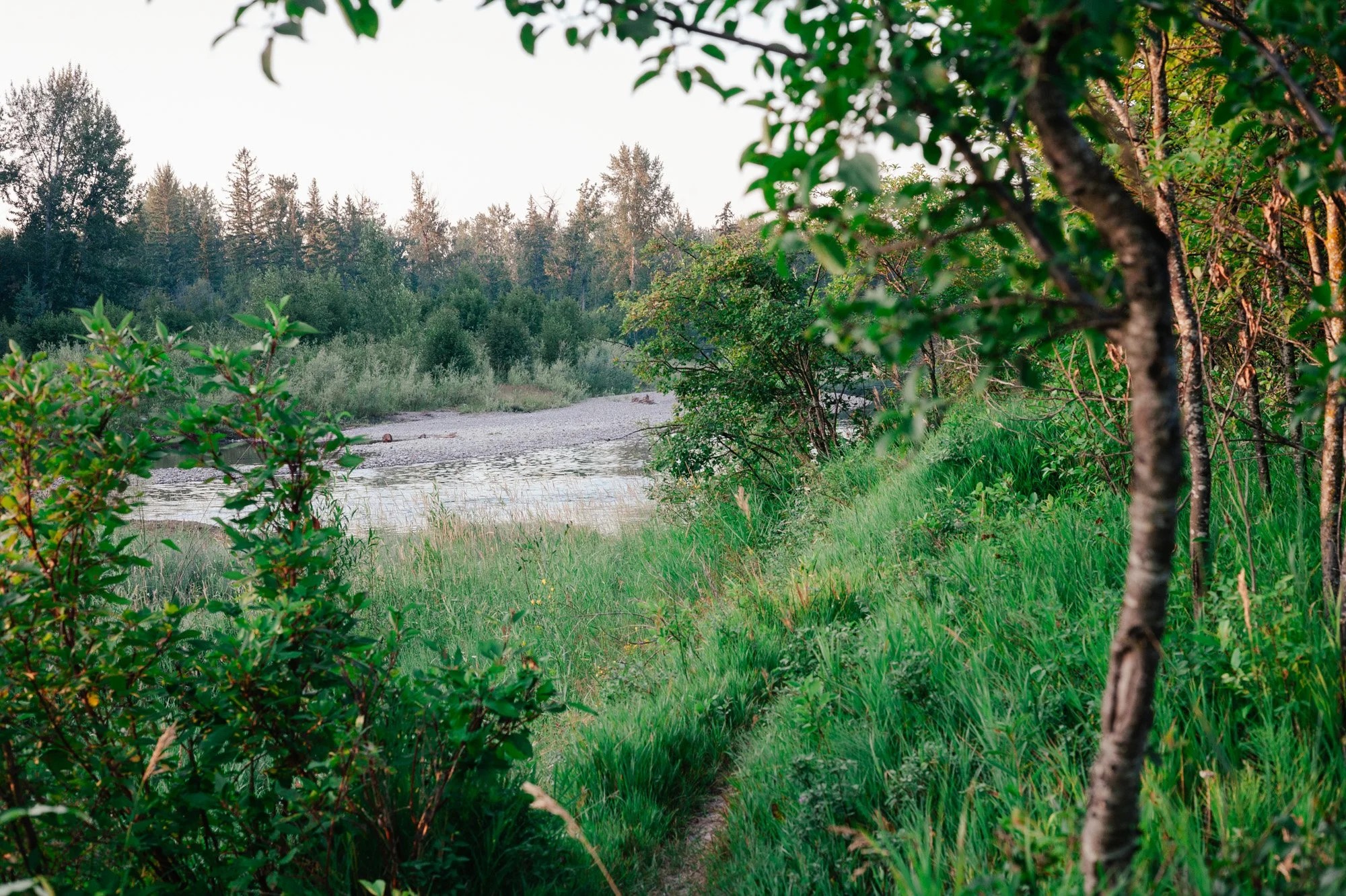 _MG_9373.jpg