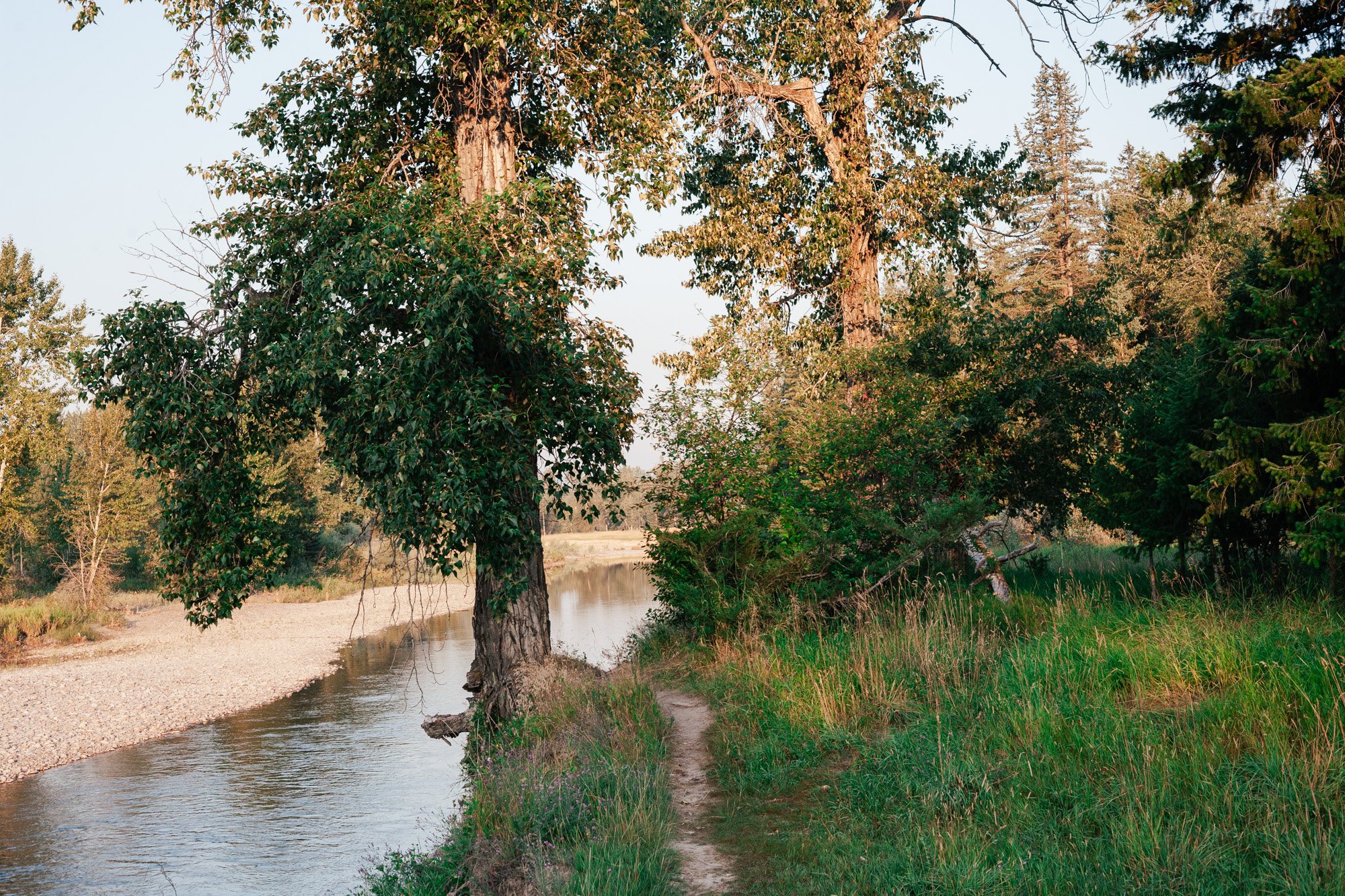 _MG_9381.jpg