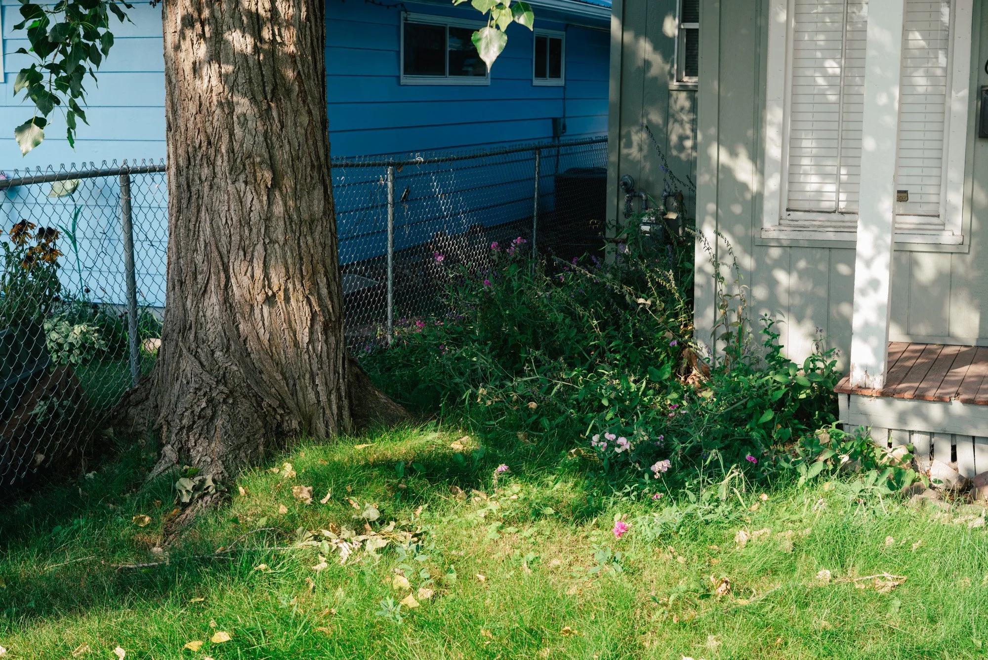 L1007200.jpg
