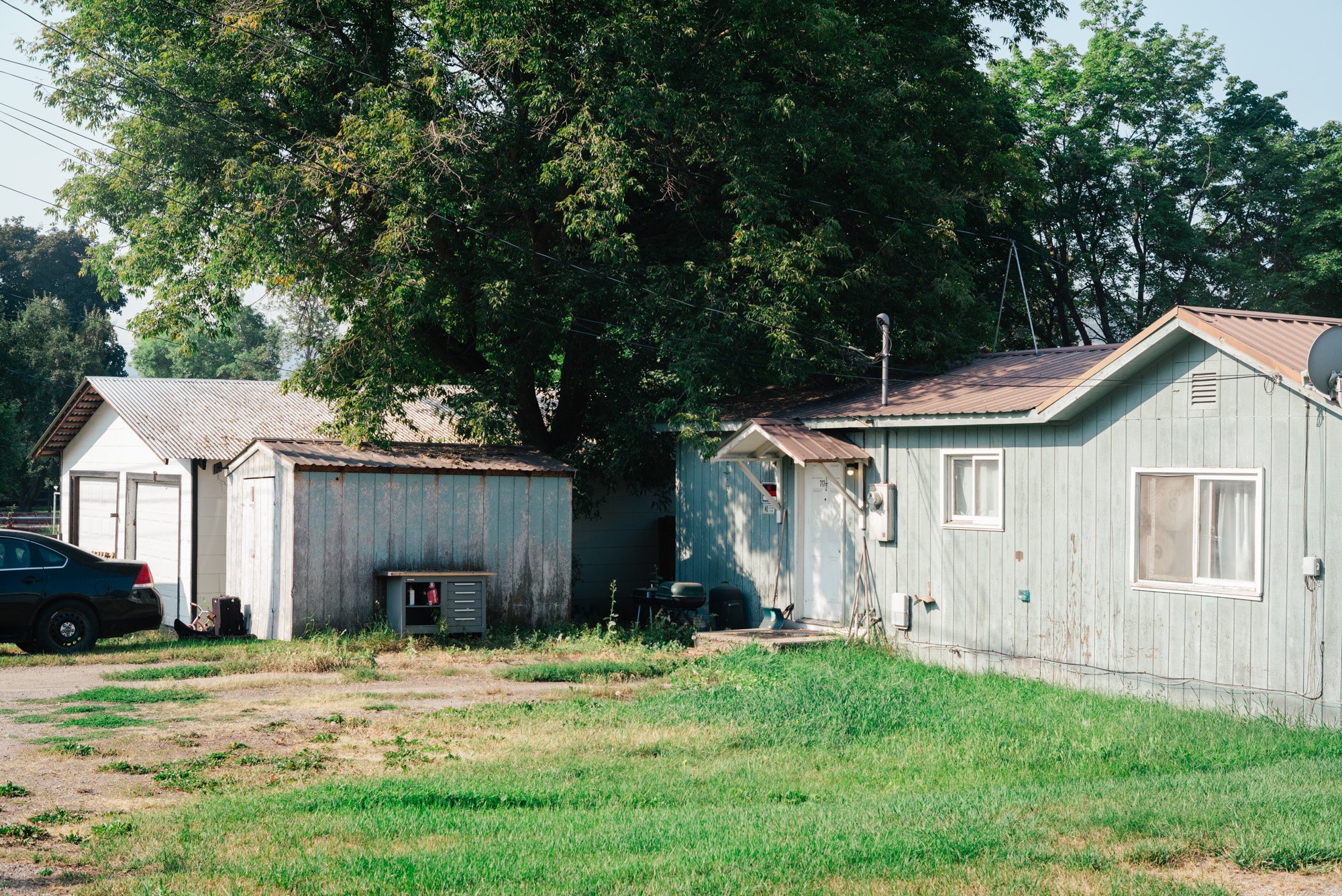 L1007209.jpg