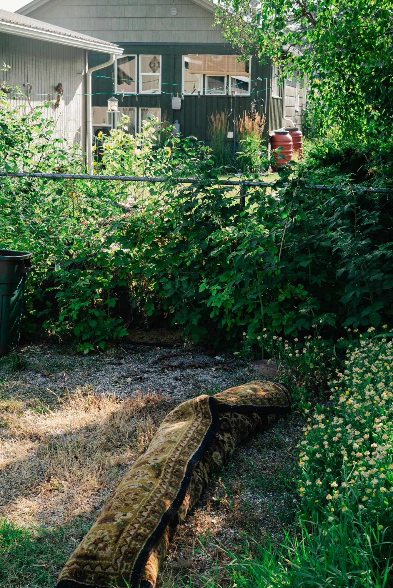L1007219.jpg