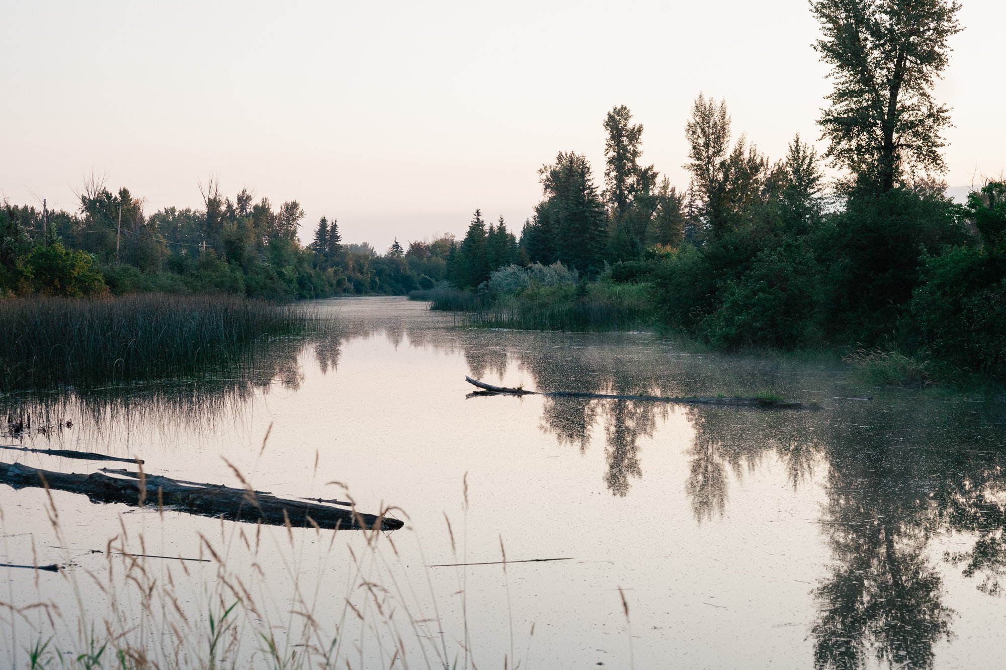 _MG_9358.jpg
