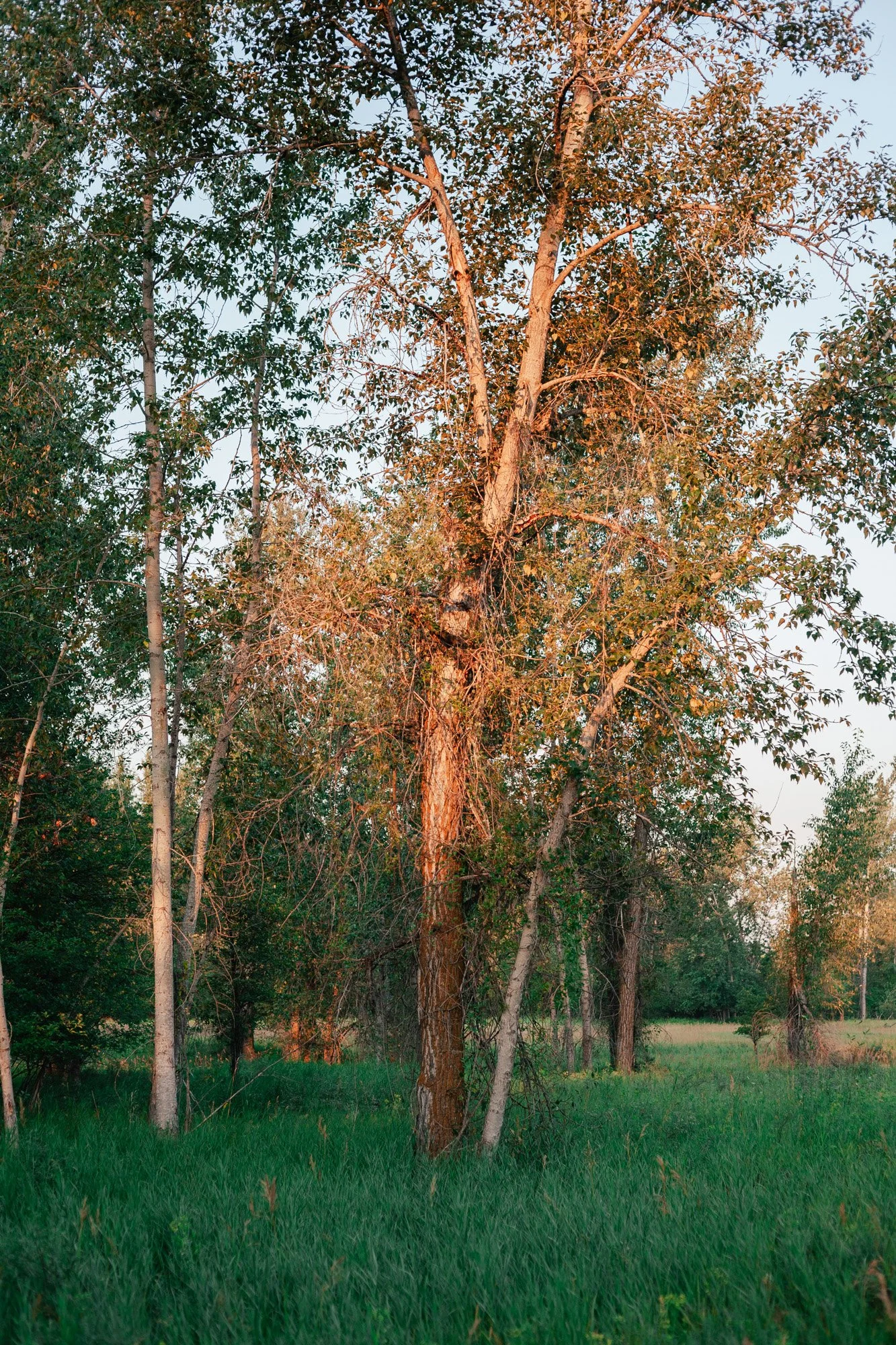 _MG_9366.jpg