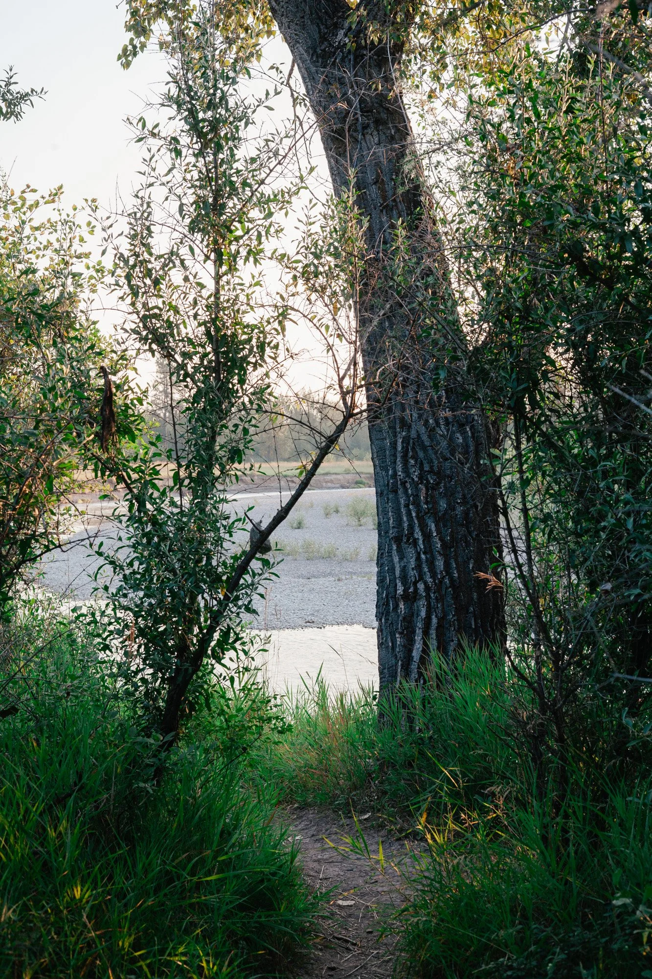 _MG_9380.jpg