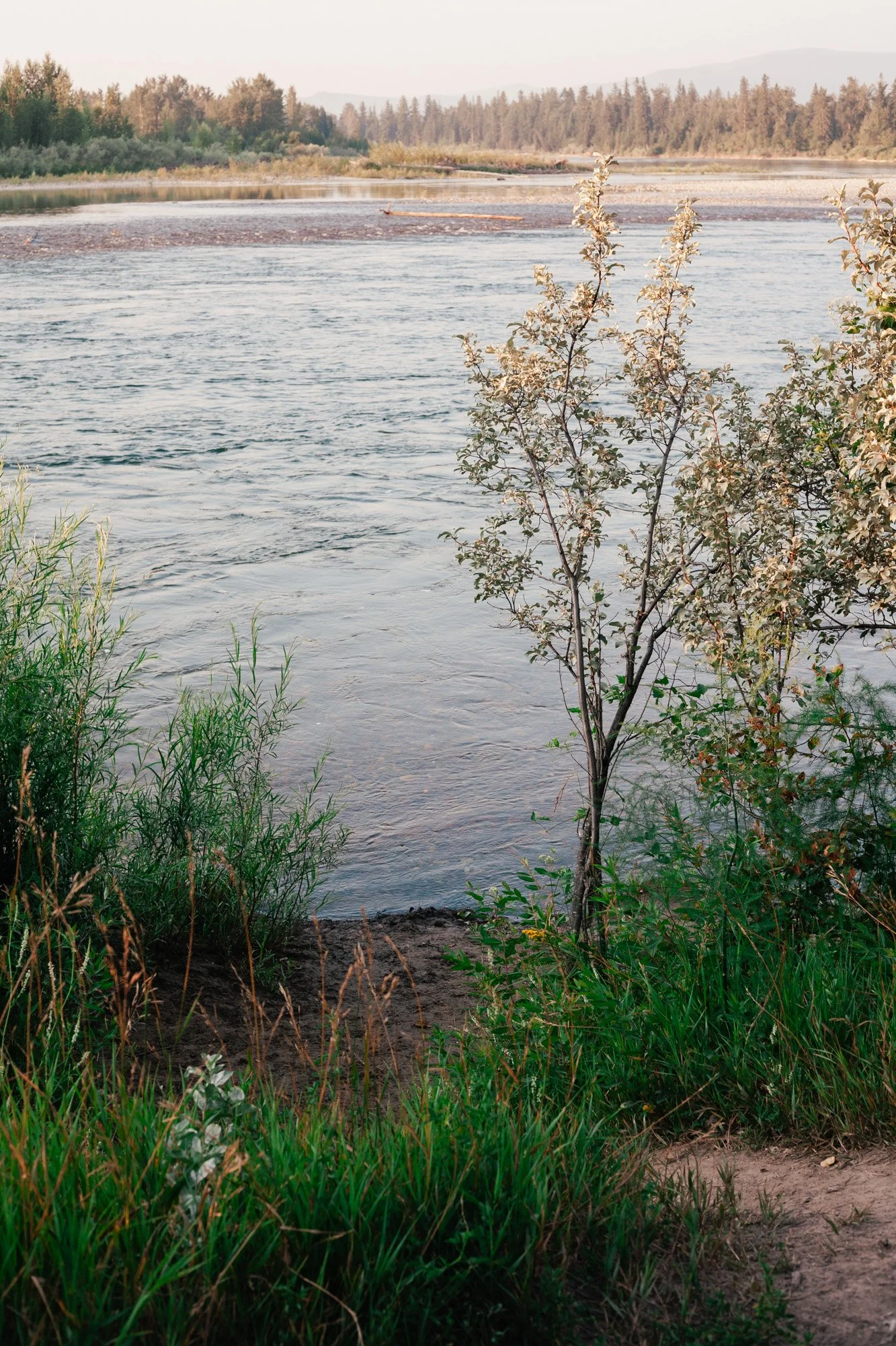 _MG_9388.jpg