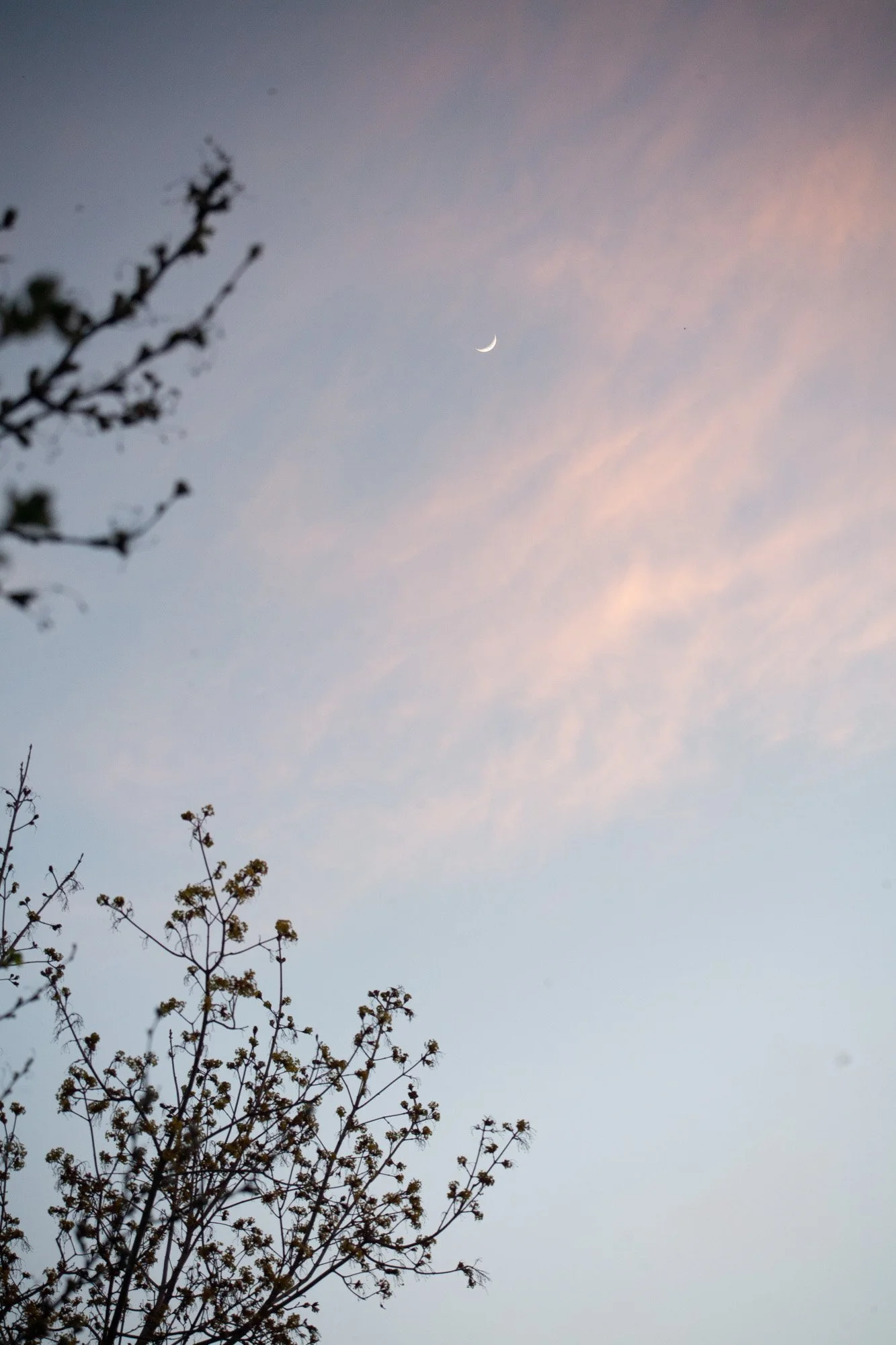 _MG_9155.jpg