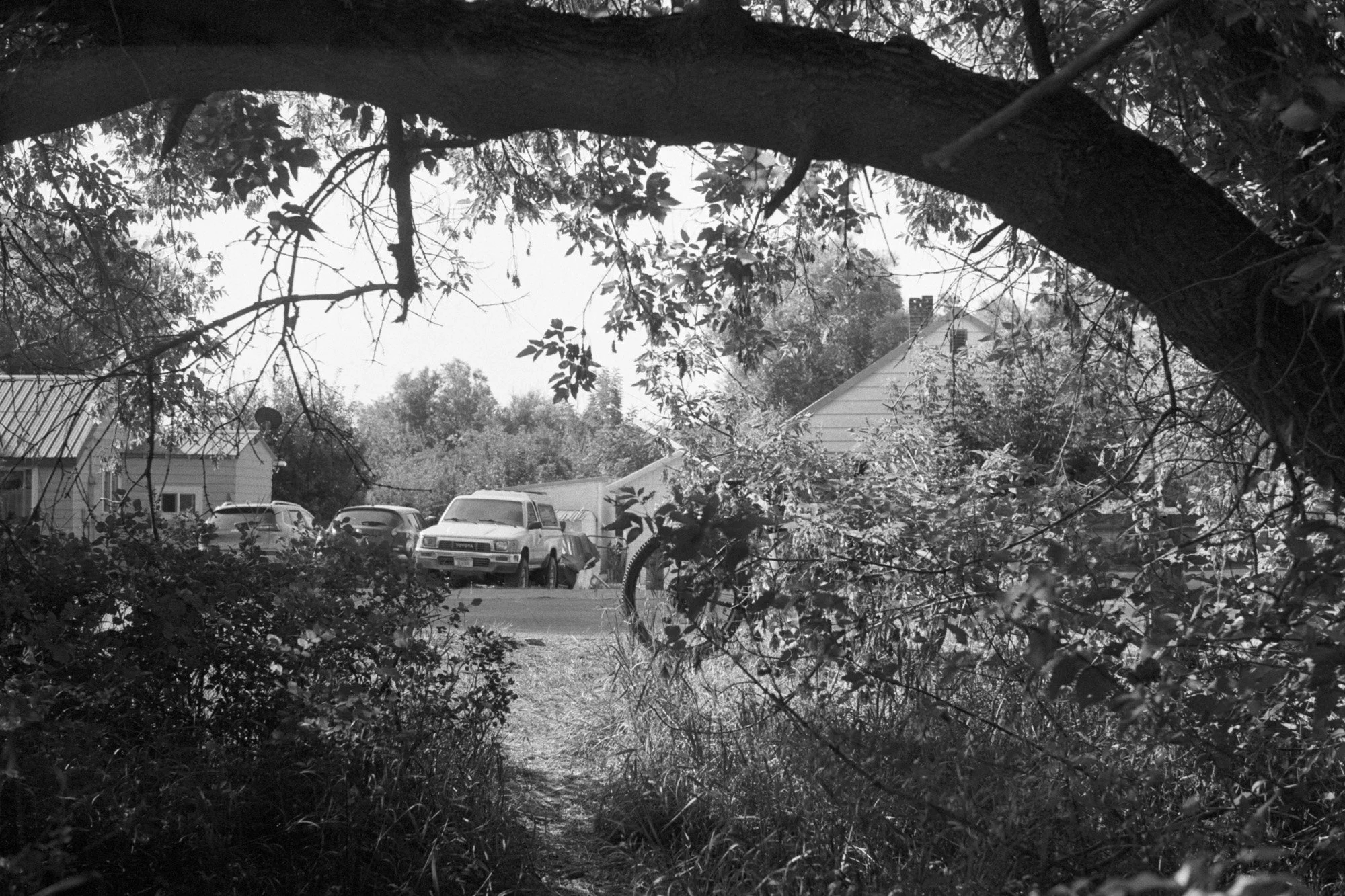 Untitled (3).jpg