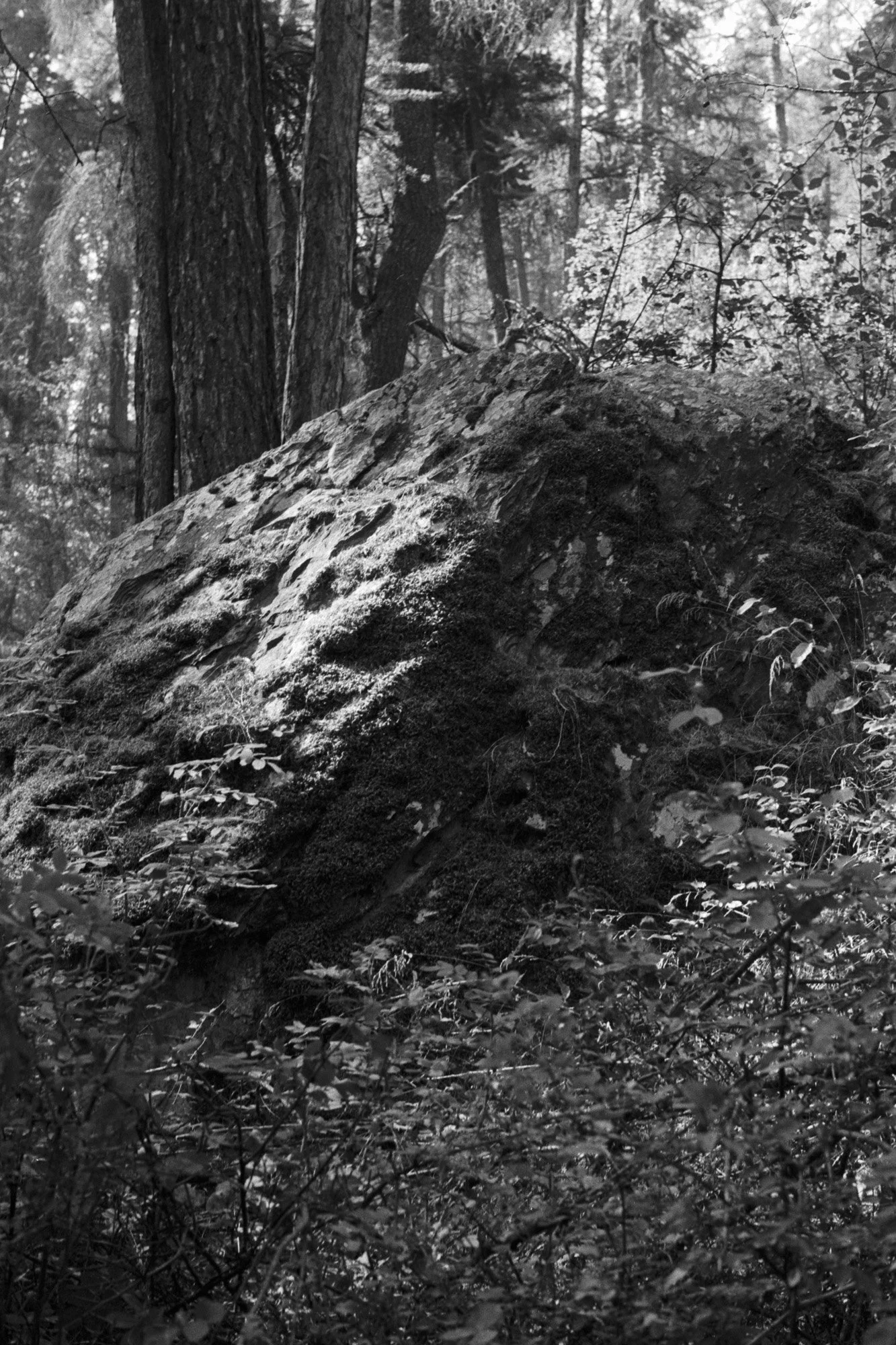 Untitled (17).jpg