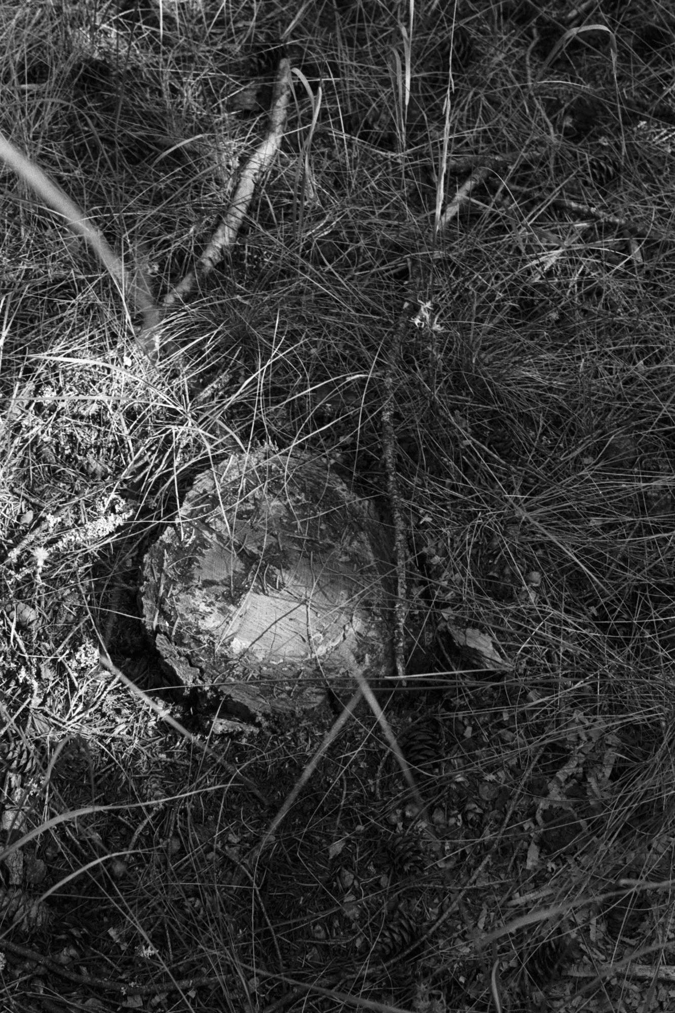 Untitled (23).jpg