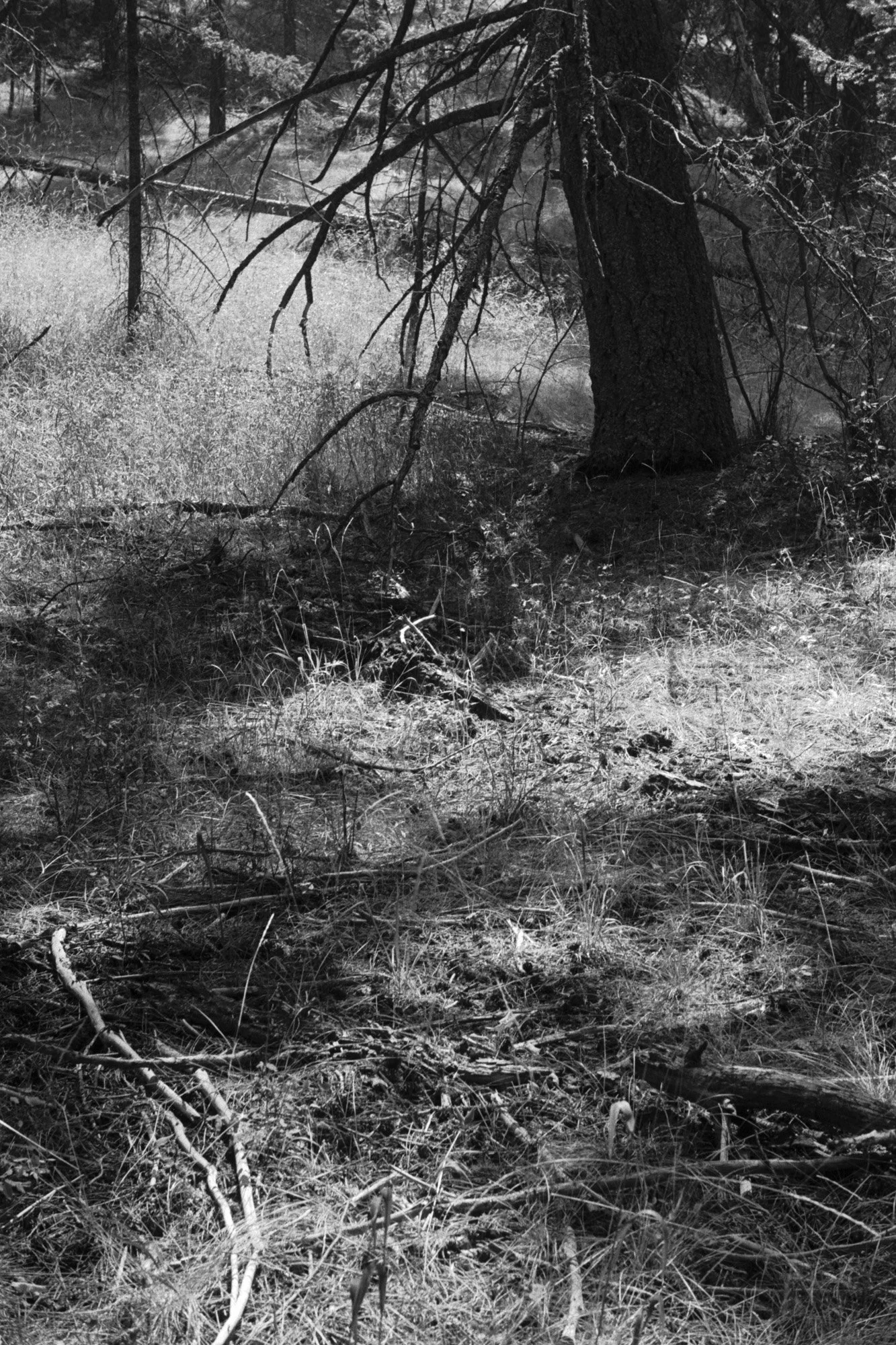 Untitled (33).jpg