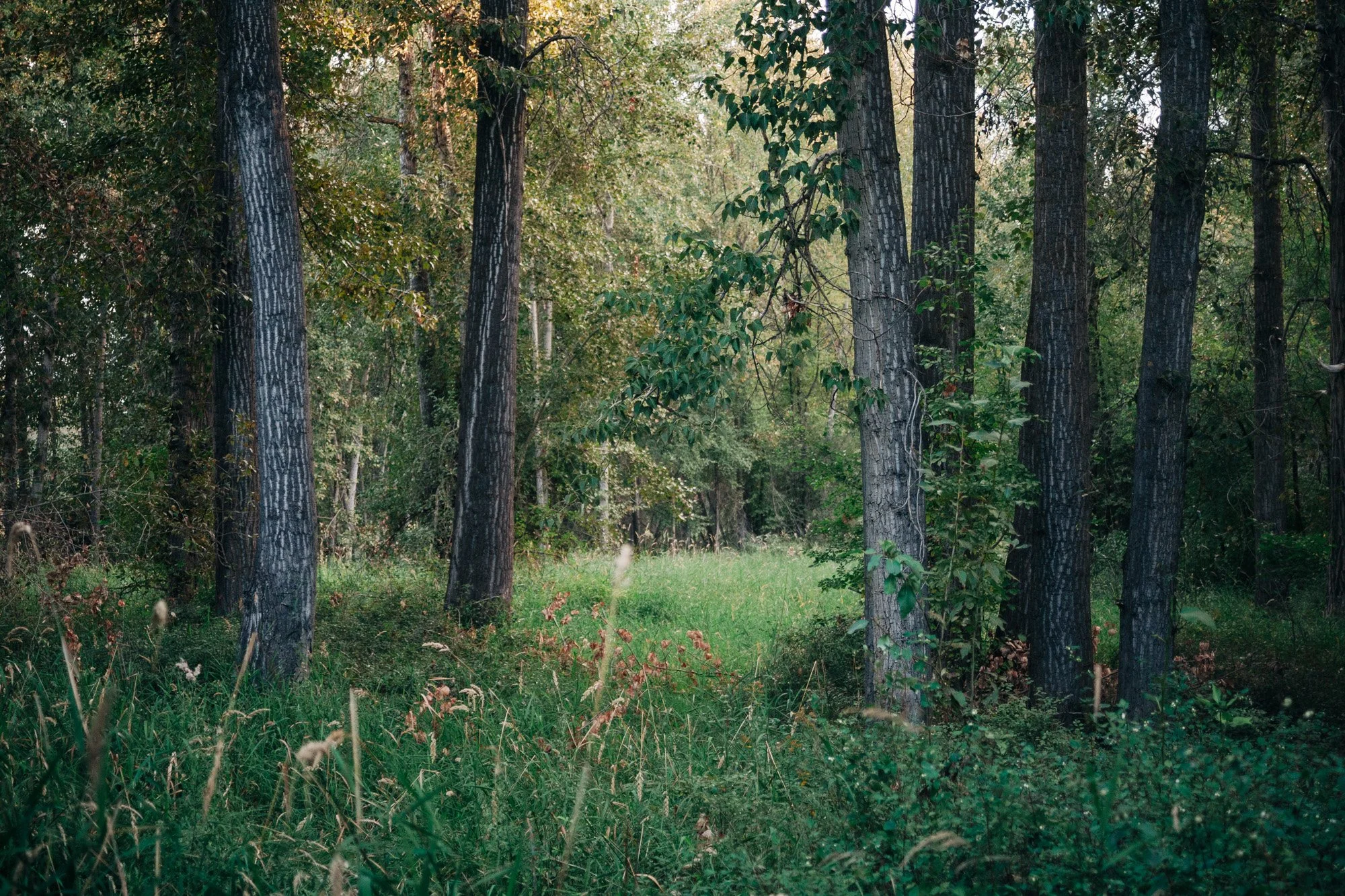 _MG_9448.jpg