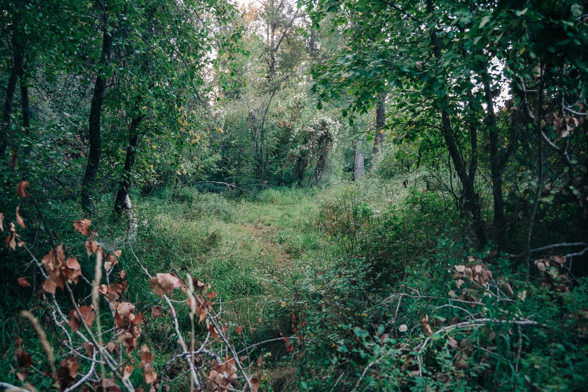 _MG_9450.jpg