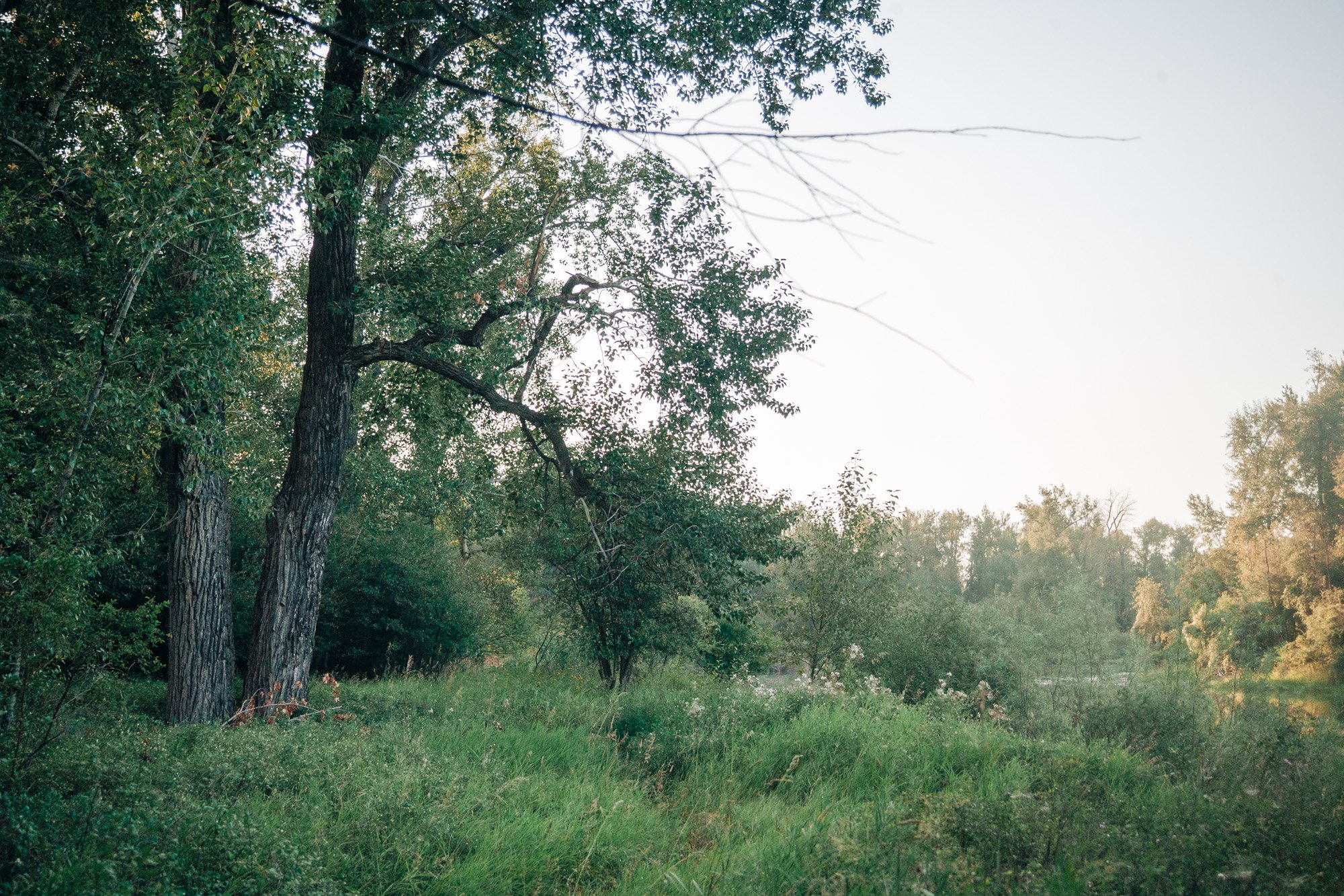 _MG_9454.jpg