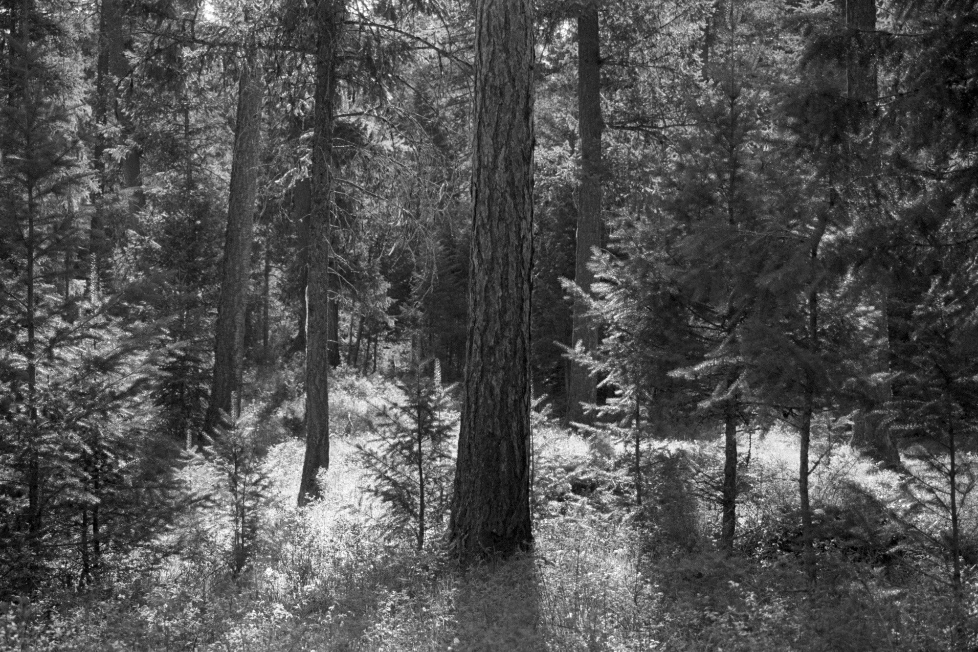 Untitled (8)-2.jpg