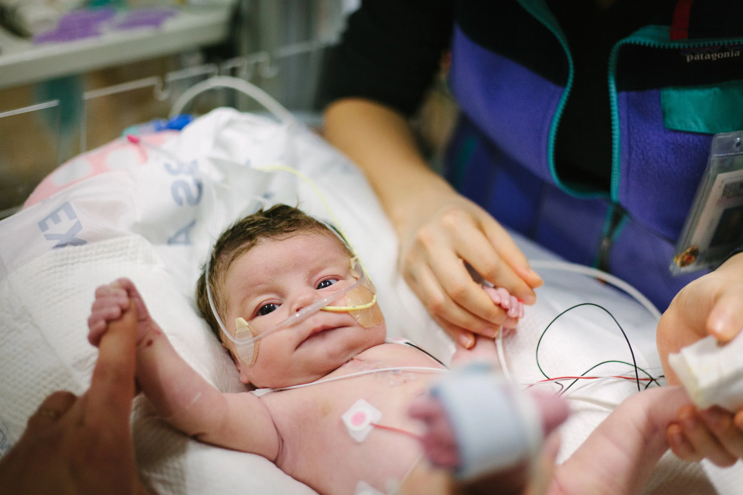 Just pictures today!