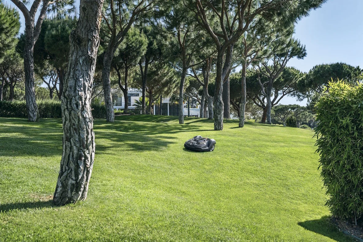 450x 1.jpg