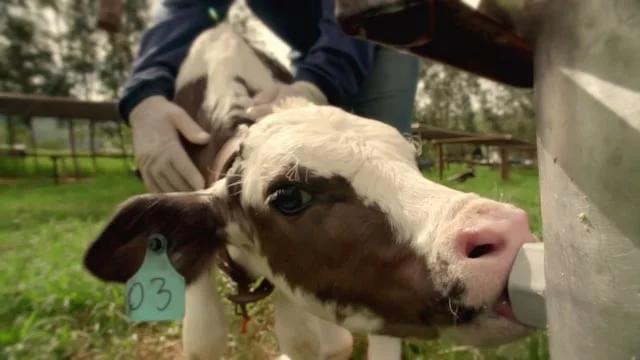 SANTANDER | Agronegócio