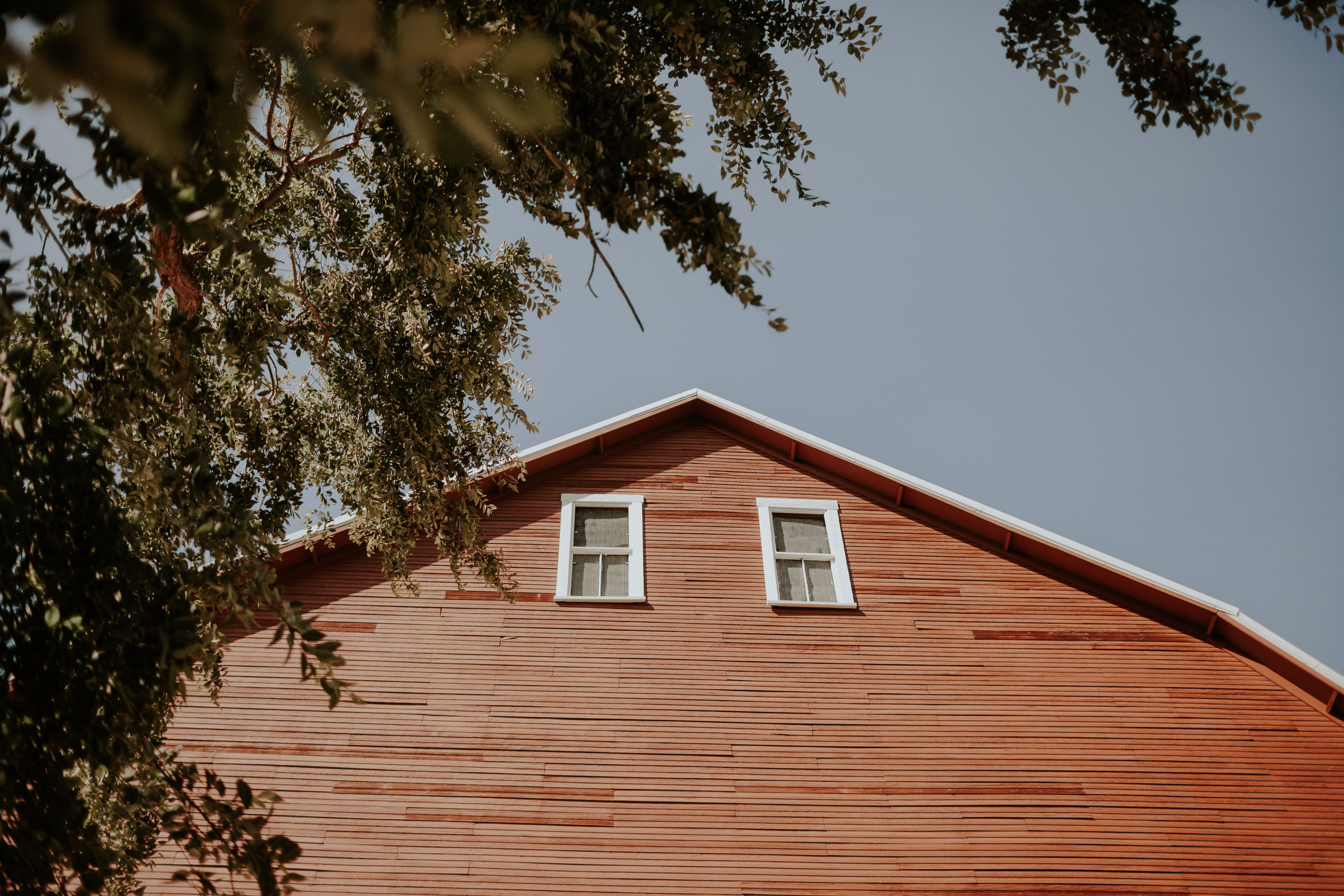 Olympic-Peninsula-PNW-wedding-engagement-photographer-Eberle-Barn-Sequim-Washington-Portrait-kayladawnphoto-24.jpg