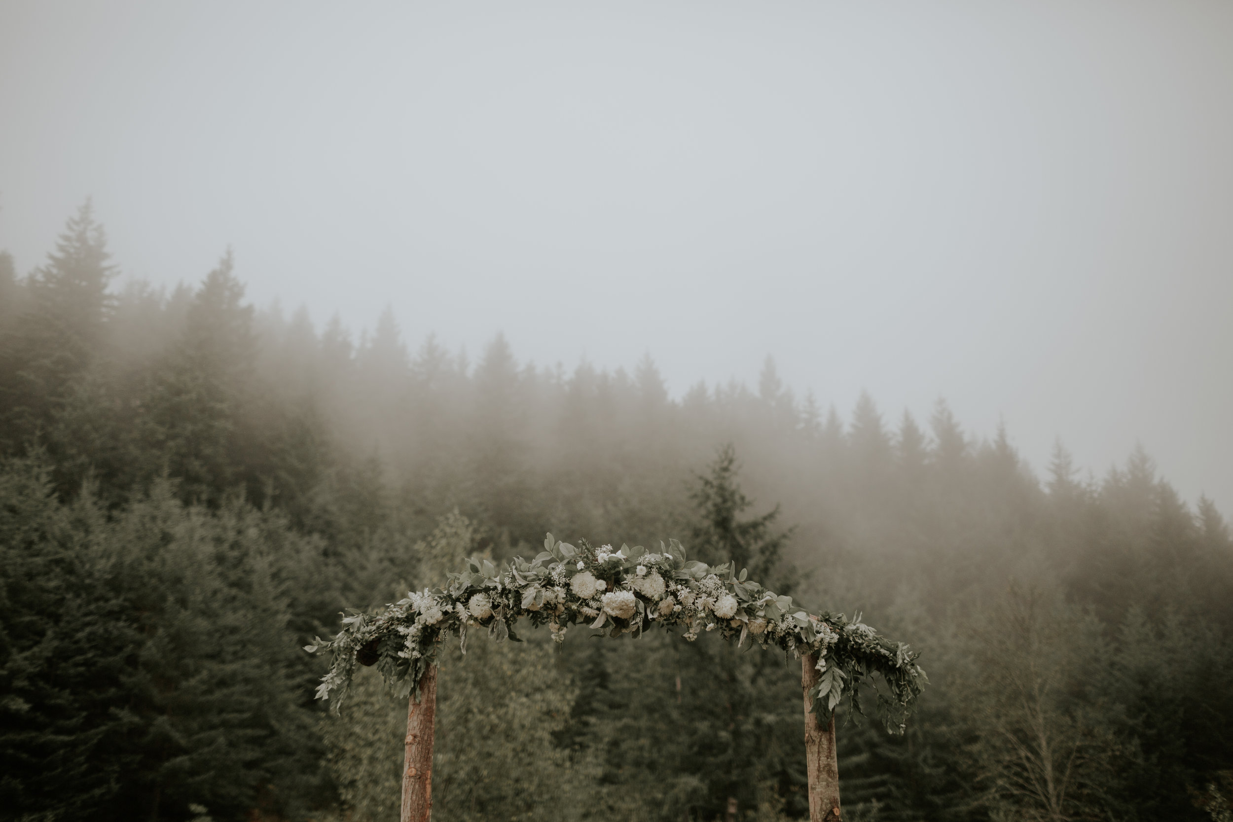 Port-Angeles-elopement-wedding-pnw-olympic-peninsula-photographer-portrait-kayladawnphoto-kayla-dawn-photography-olympic-national-park-11.jpg