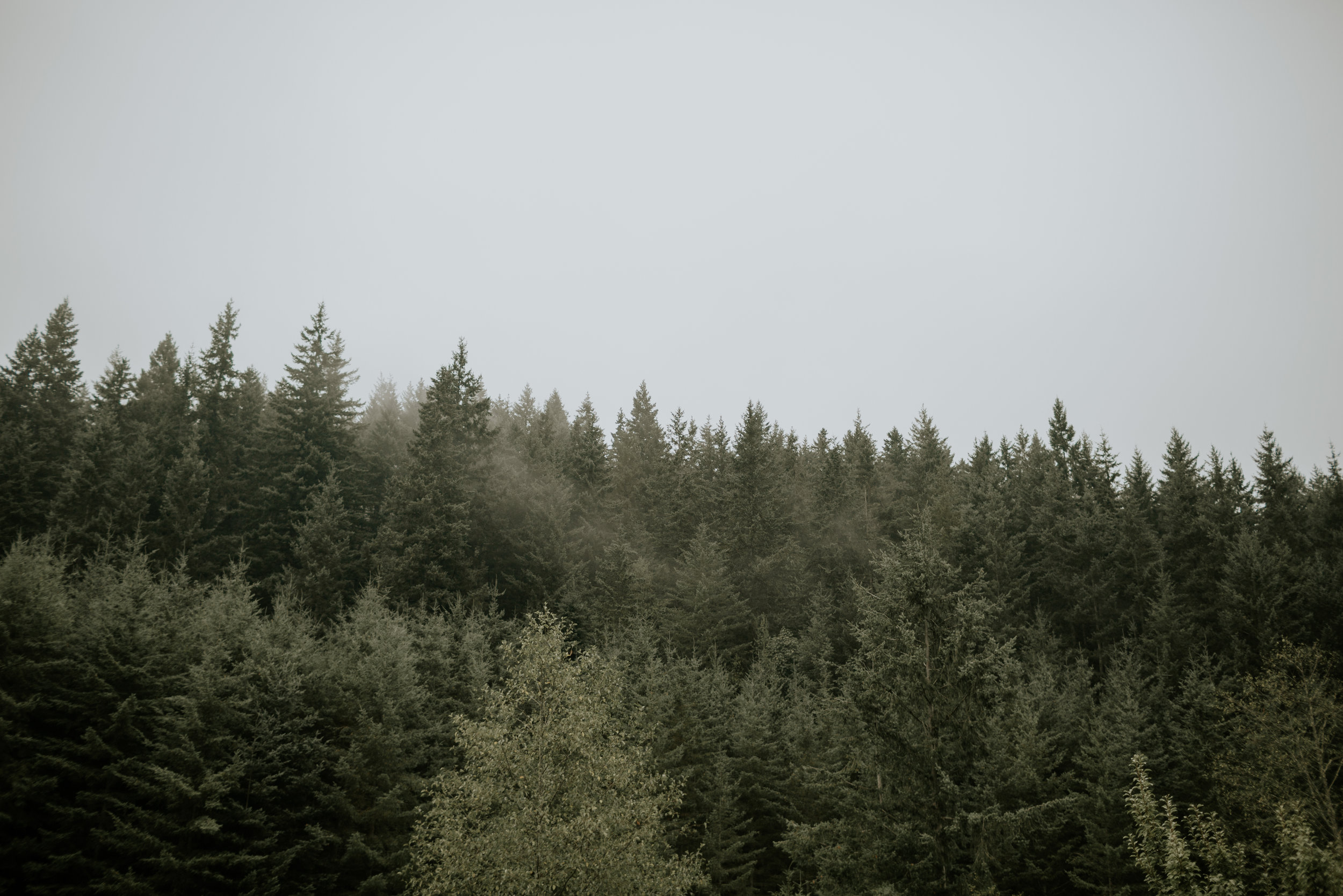 Port-Angeles-elopement-wedding-pnw-olympic-peninsula-photographer-portrait-kayladawnphoto-kayla-dawn-photography-olympic-national-park-41.jpg