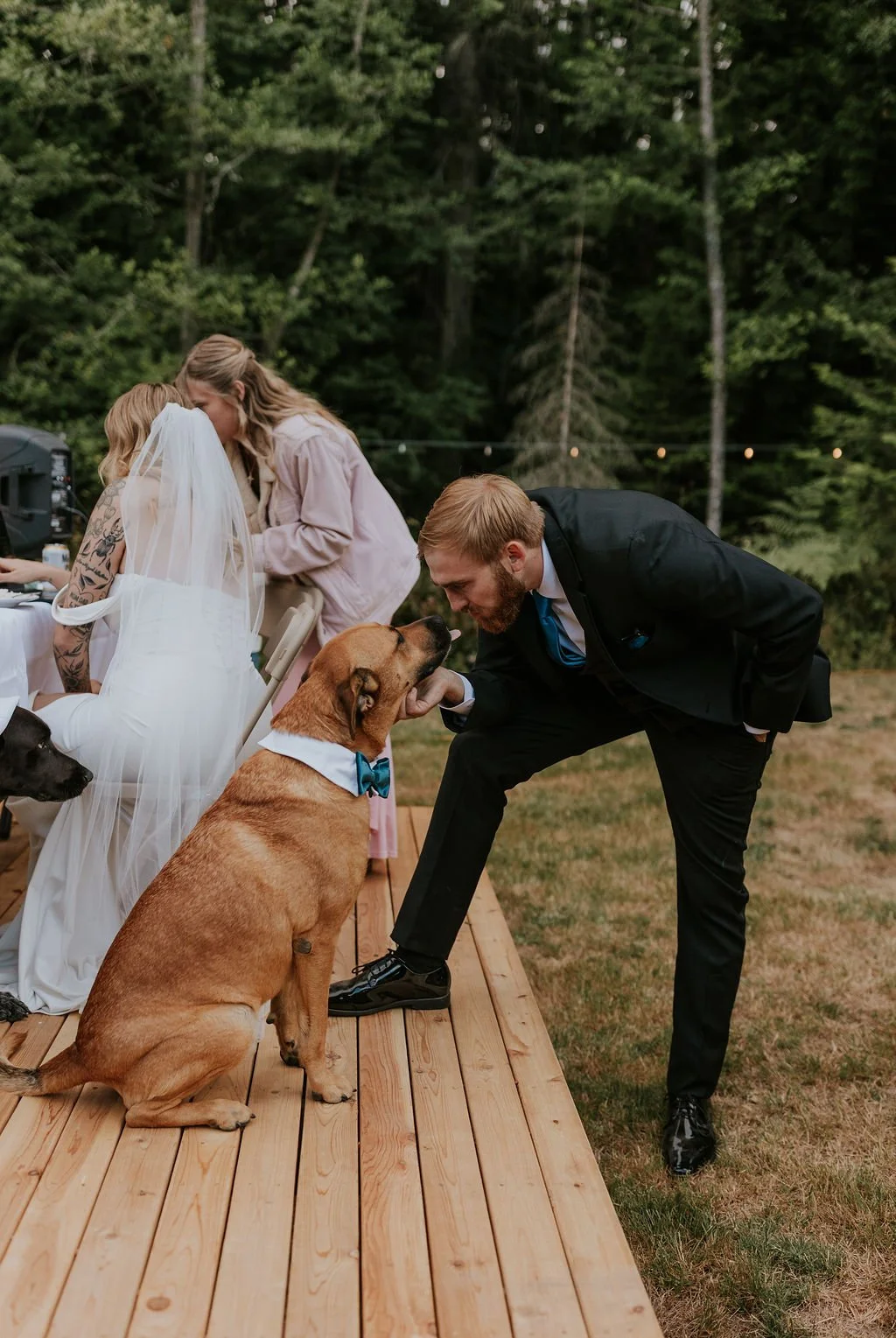 Port-Angeles-backyard-intimate-wedding-olympic-peninsula-portrait-wedding-photogrspher-pnw-sequim-olympic-national-park-elopement-28.jpg