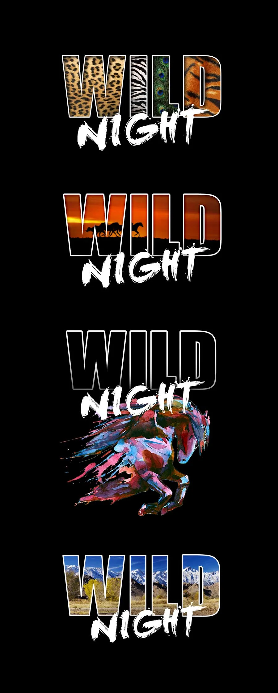 wildnight.jpg