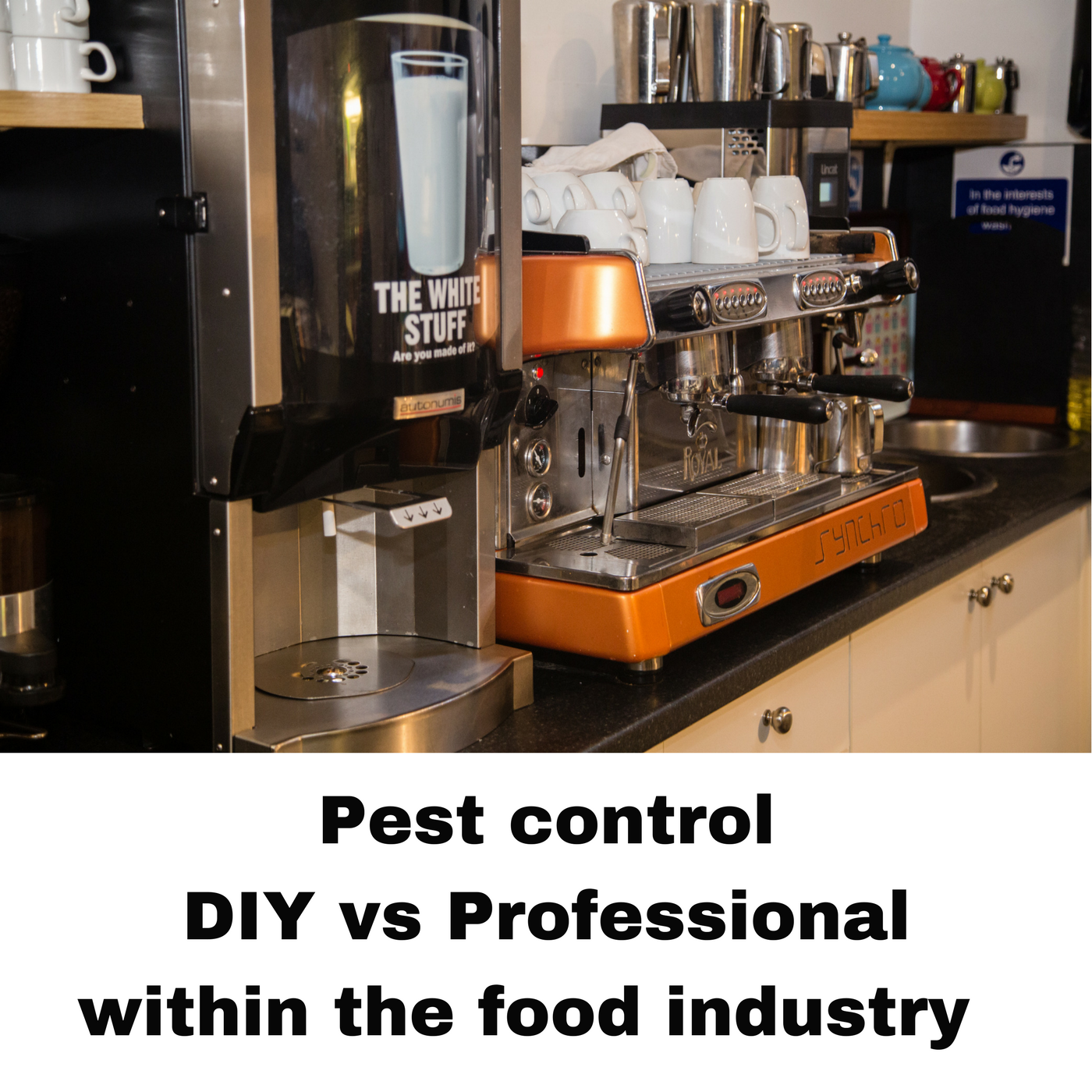 DIY vs Professional Pest Control within the Food Industry