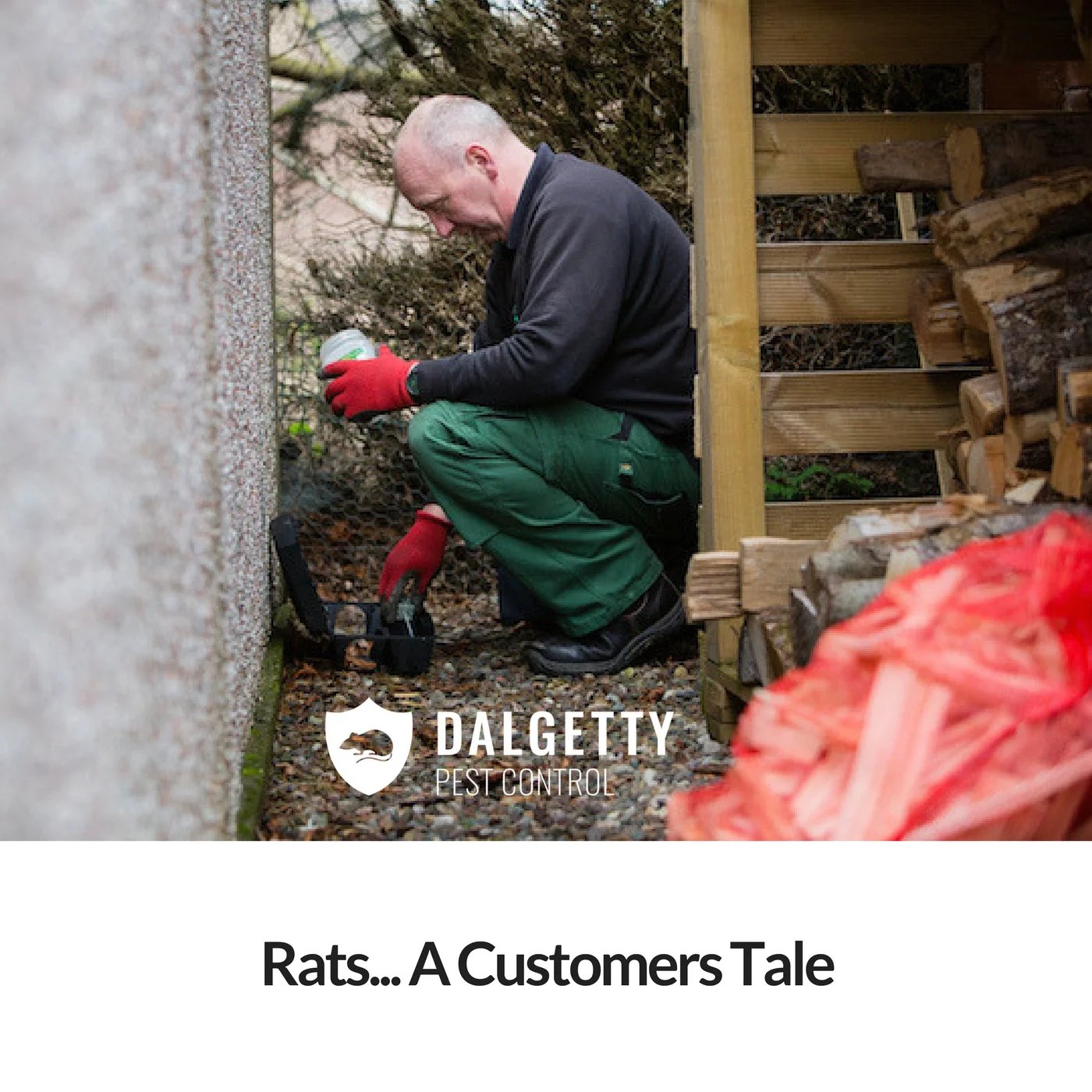 Mice I can deal with, but rats... I'm calling in the professionals! A recent customer story.