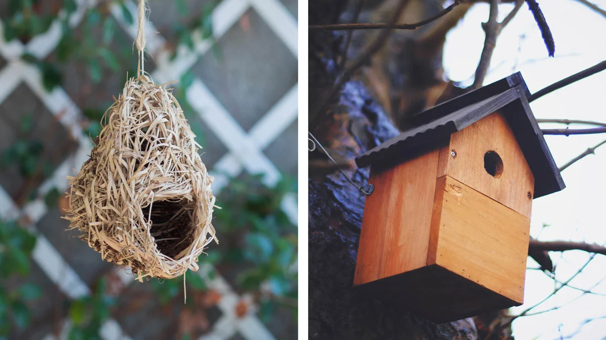 Bird prevention; How to get rid of birds nesting in your eaves