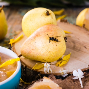 دليل بسيط لإبعاد الدبابير 20 تصميم بلا عنوان (55) .png