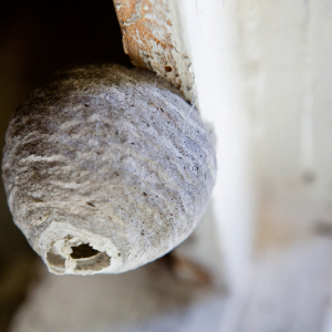 تصميم بلا عنوان (53) .png