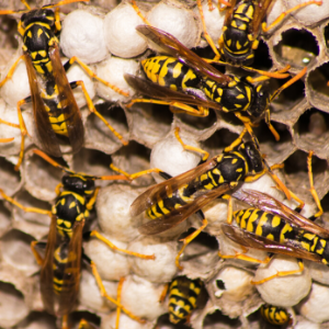 تصميم بلا عنوان (52) .png