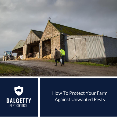 How to protect your farm against from rats, mice, rabbits and other pests