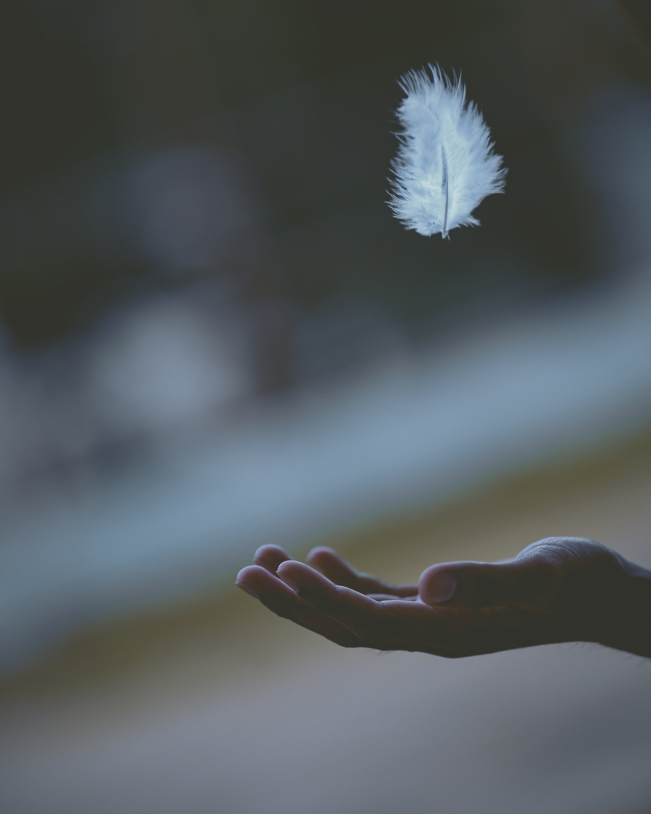 Anxiety: Simple steps to free yourself from anxiety and embrace joy