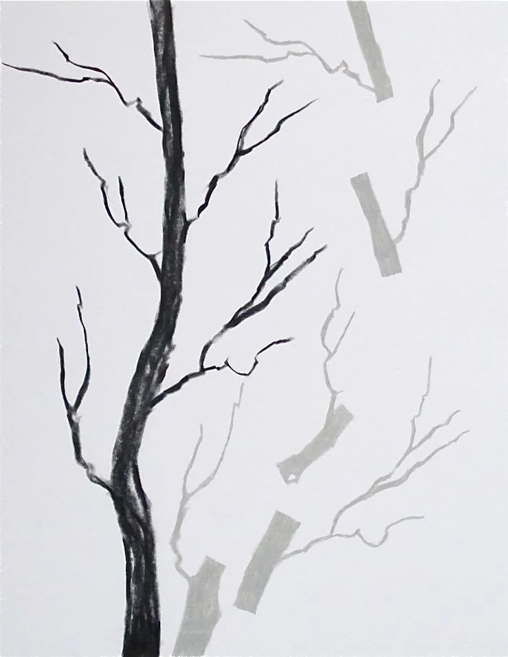 Stuff Like This, Again , 2011 Prismacolor on Paper 9” x 12”