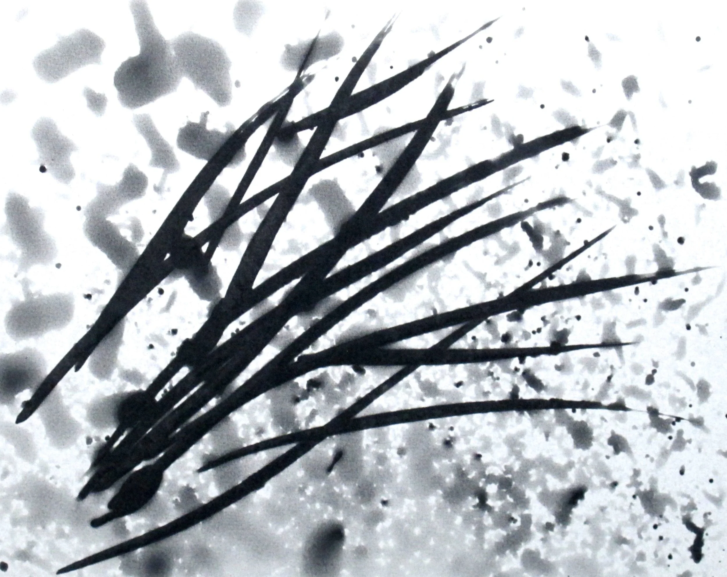 E.C. 106 , 2015 Water Image on Magic Paper Photo print to size