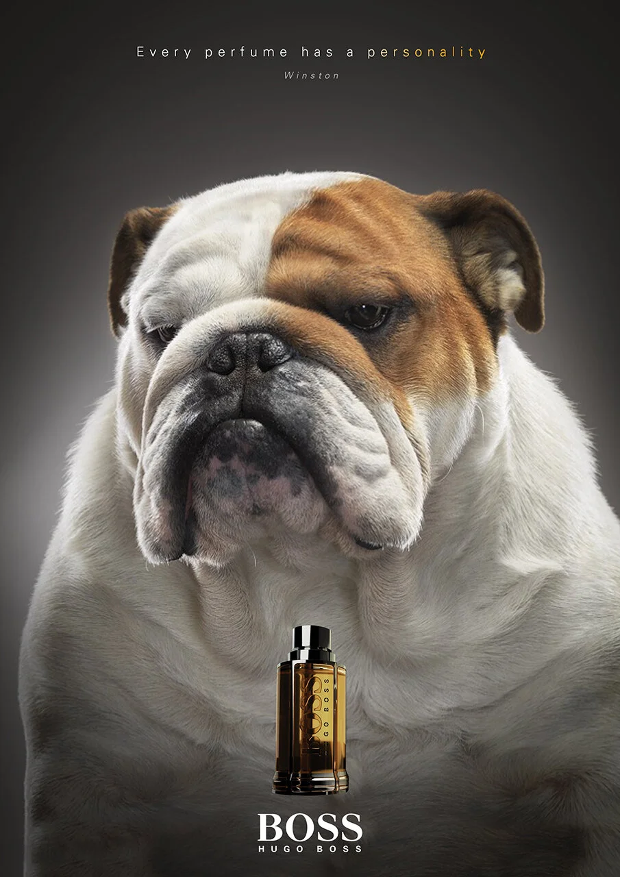 BOSS_PERSONALITY_Bulldog.jpg