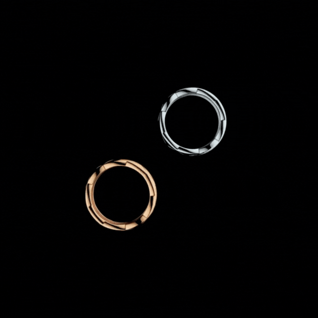 rings 2.gif