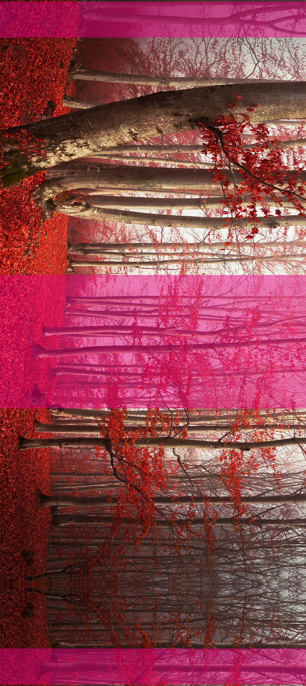 WINDOW SKIN | WINDOW 4