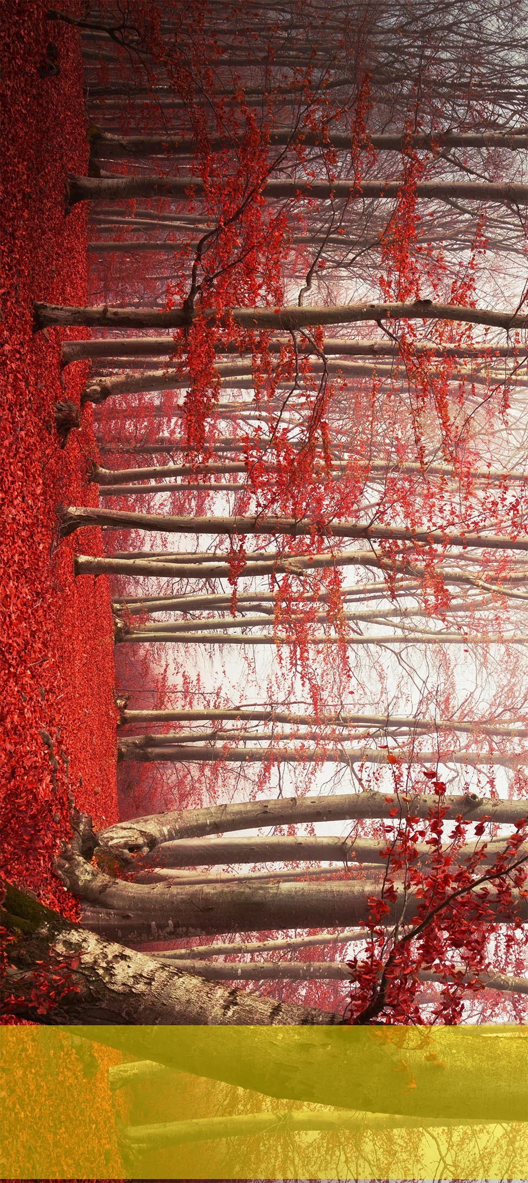 WINDOW SKIN | 2/3 BLOCK - WINDOW 3