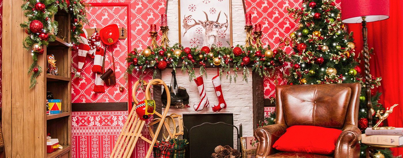 Sunday Email | Book Santa!