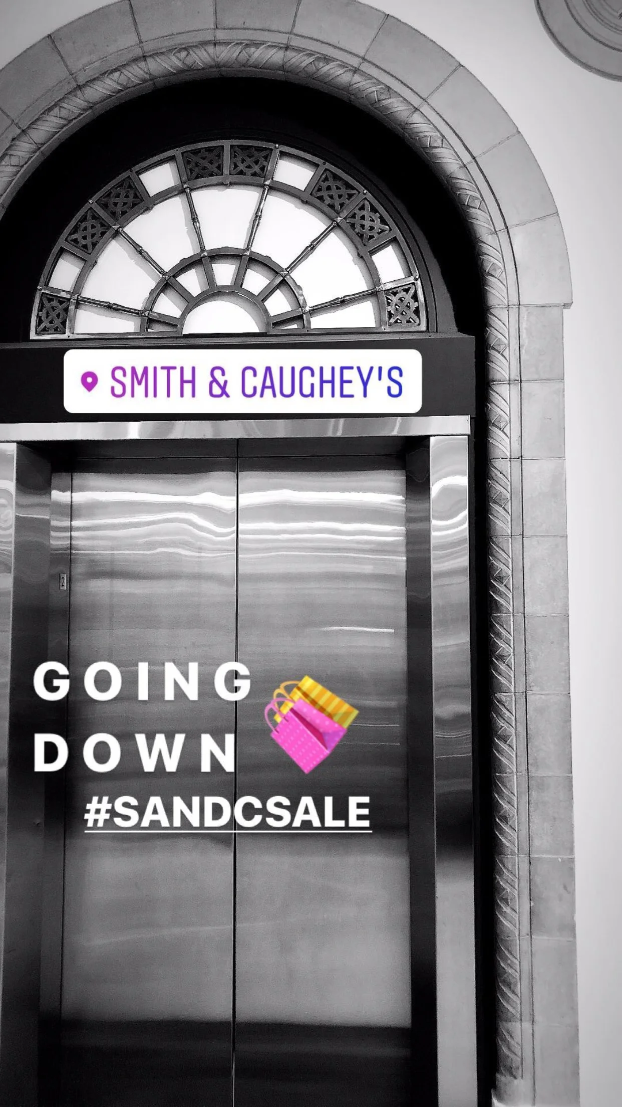 VIVA (AMANDA LINNELL/DAN AHWA)