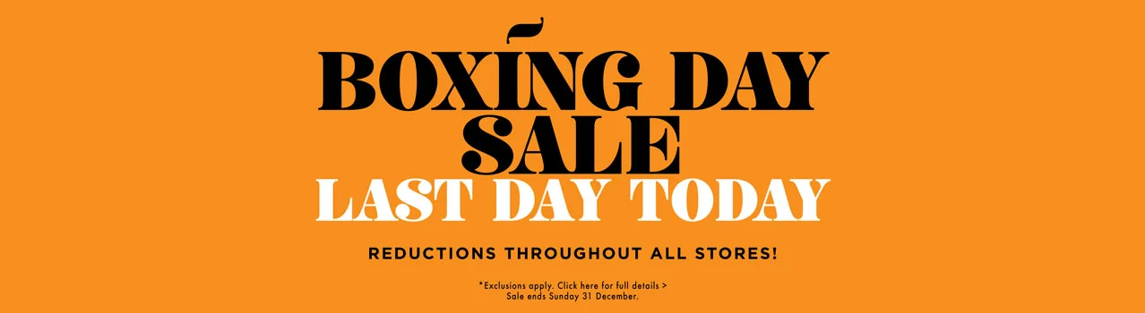 BDS | WEBSITE LANDING PAGE BANNER - LAST DAY