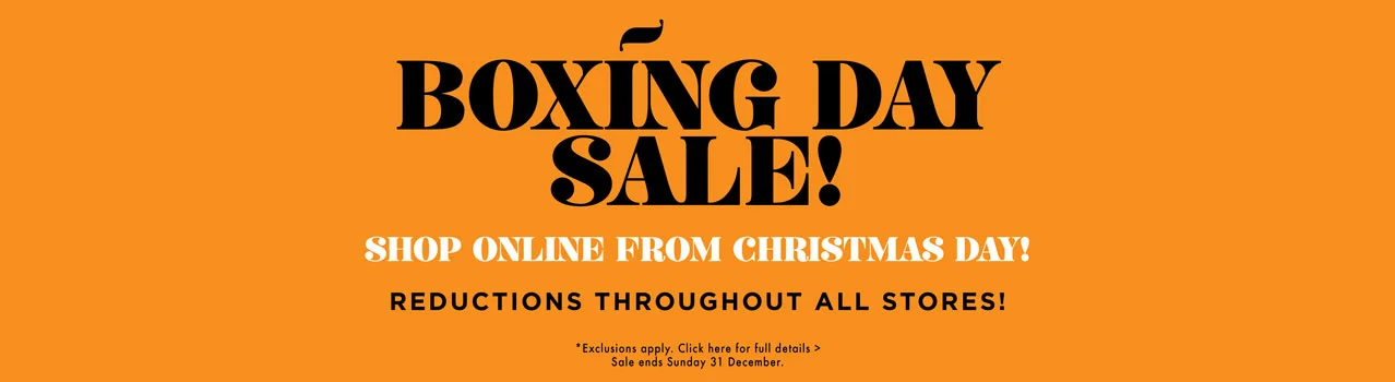 BDS | WEBSITE LANDING PAGE BANNER - BEFORE